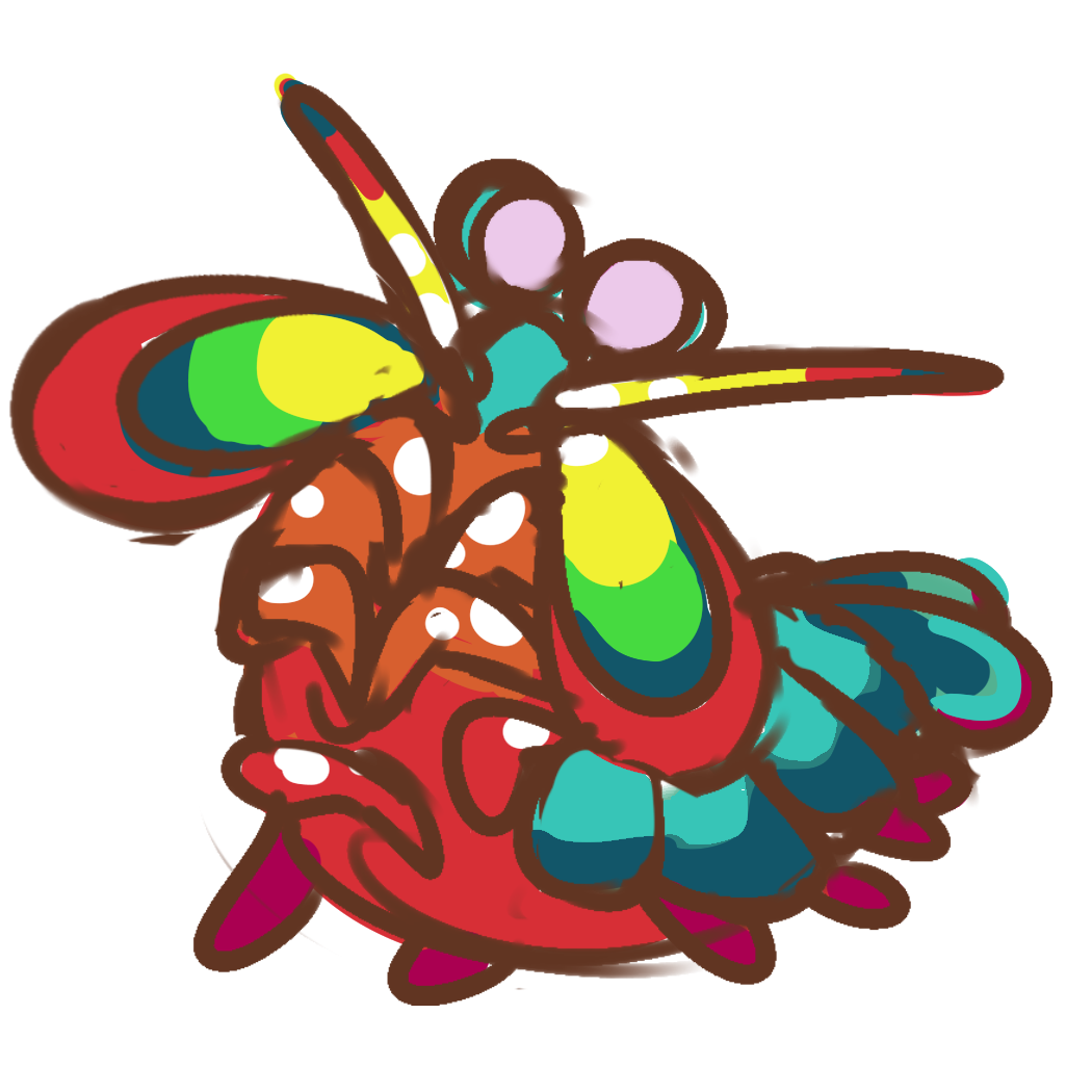 rainbow mantis shrimp