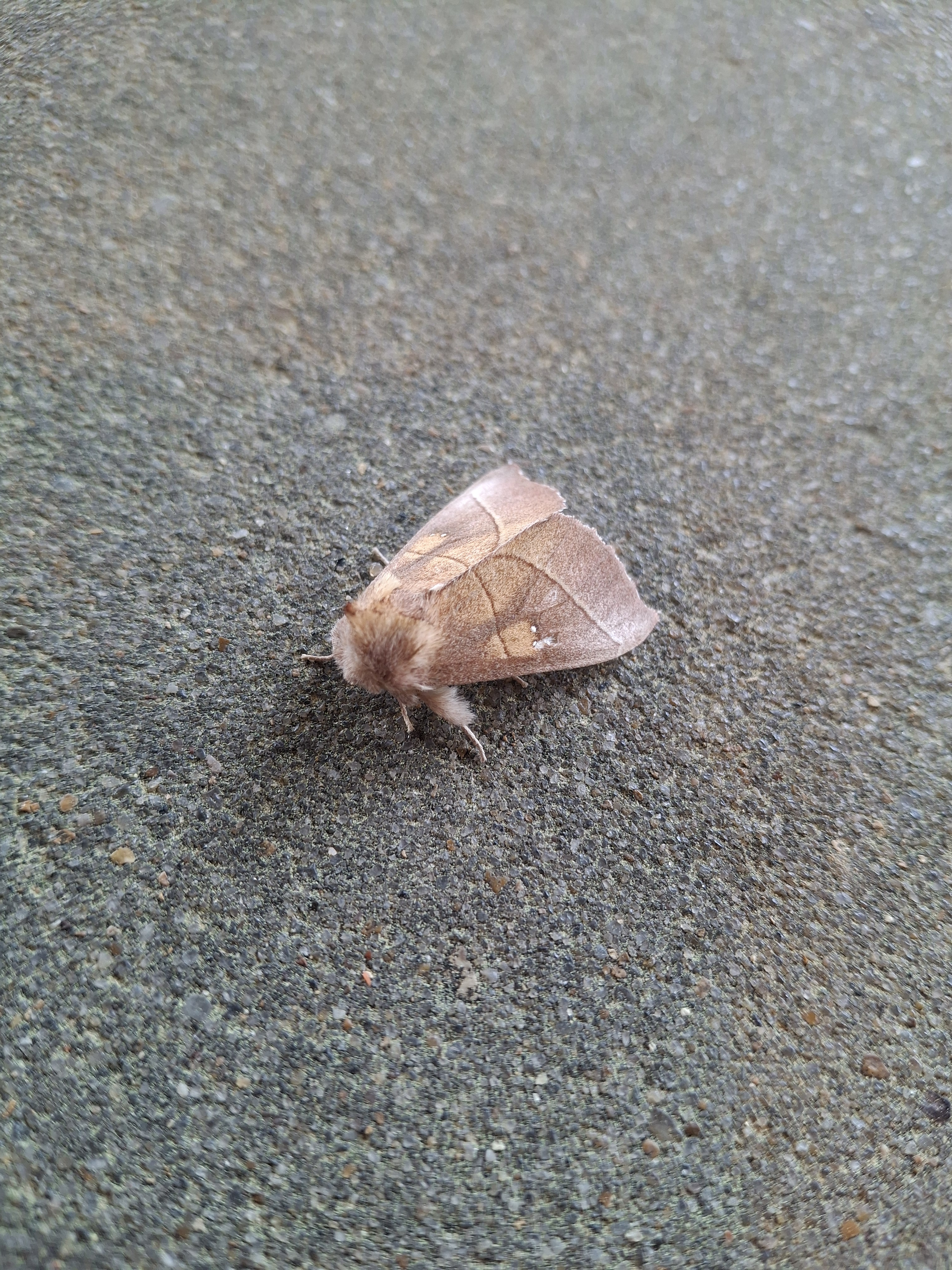 user avatar image for CReal4Supr