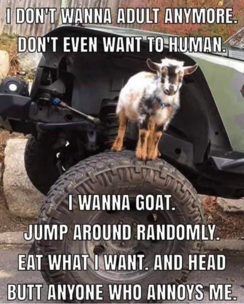 user avatar image for Silvear