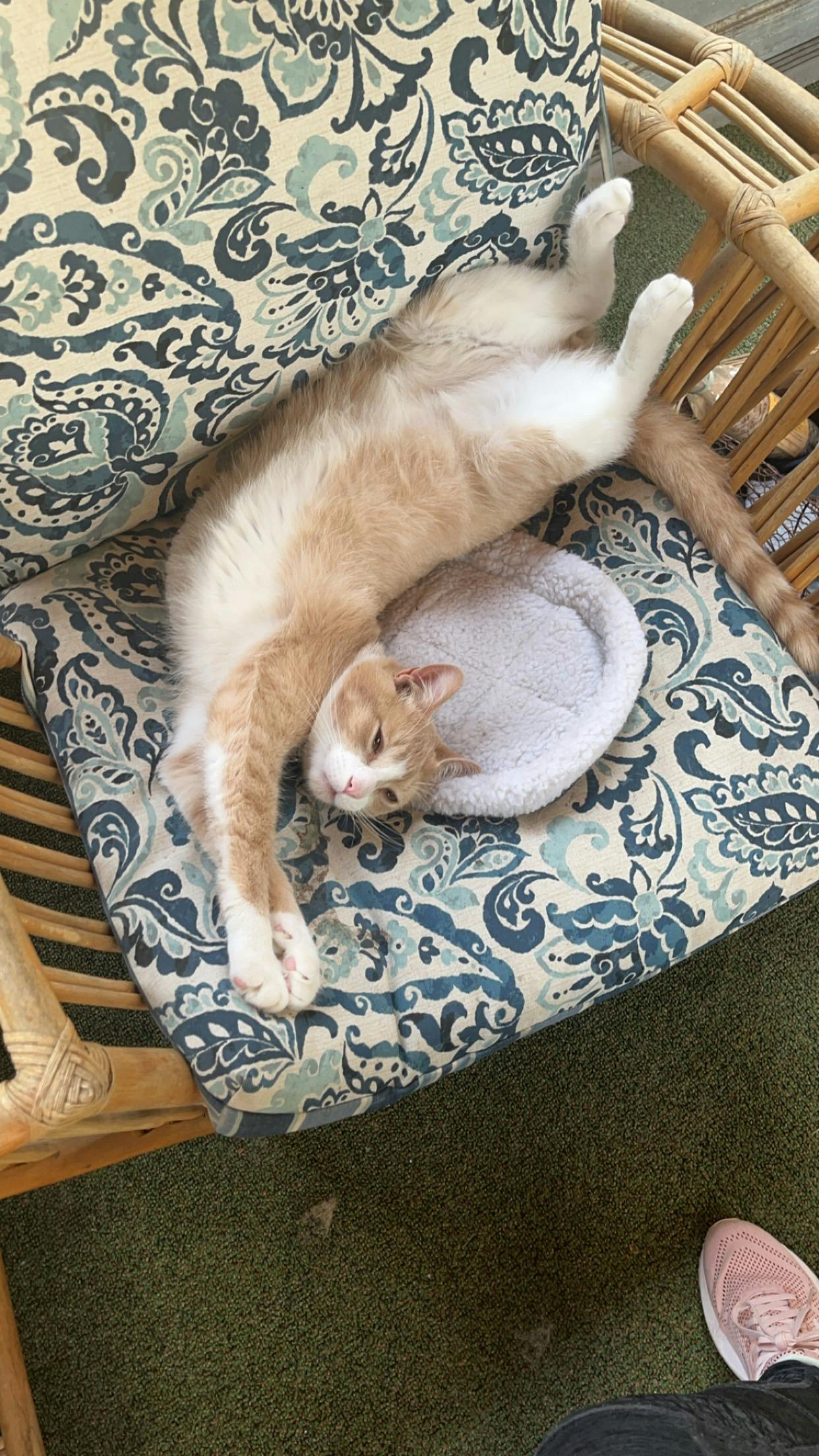 user avatar image for Caitlin Thompson