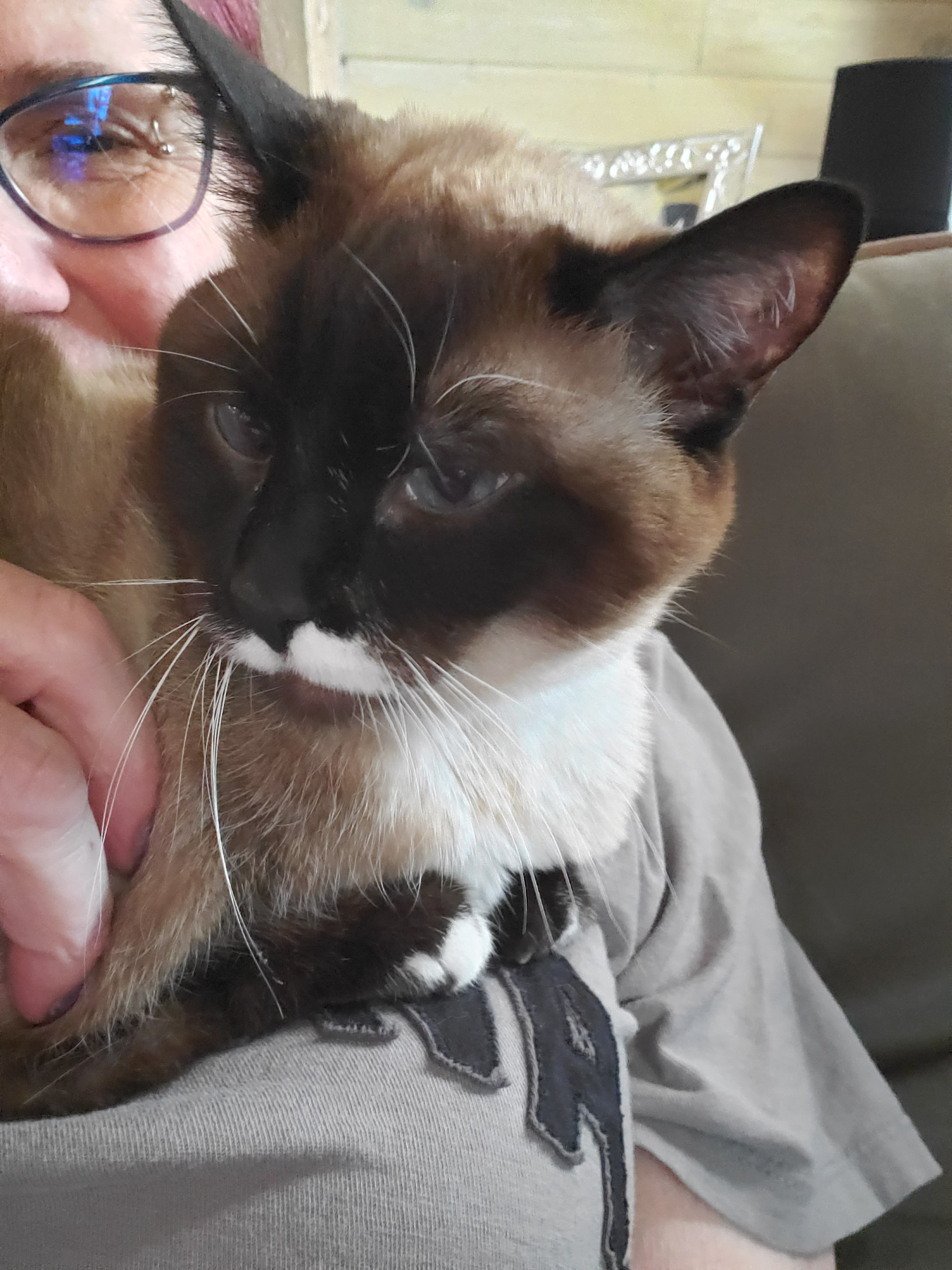 user avatar image for toastwitch