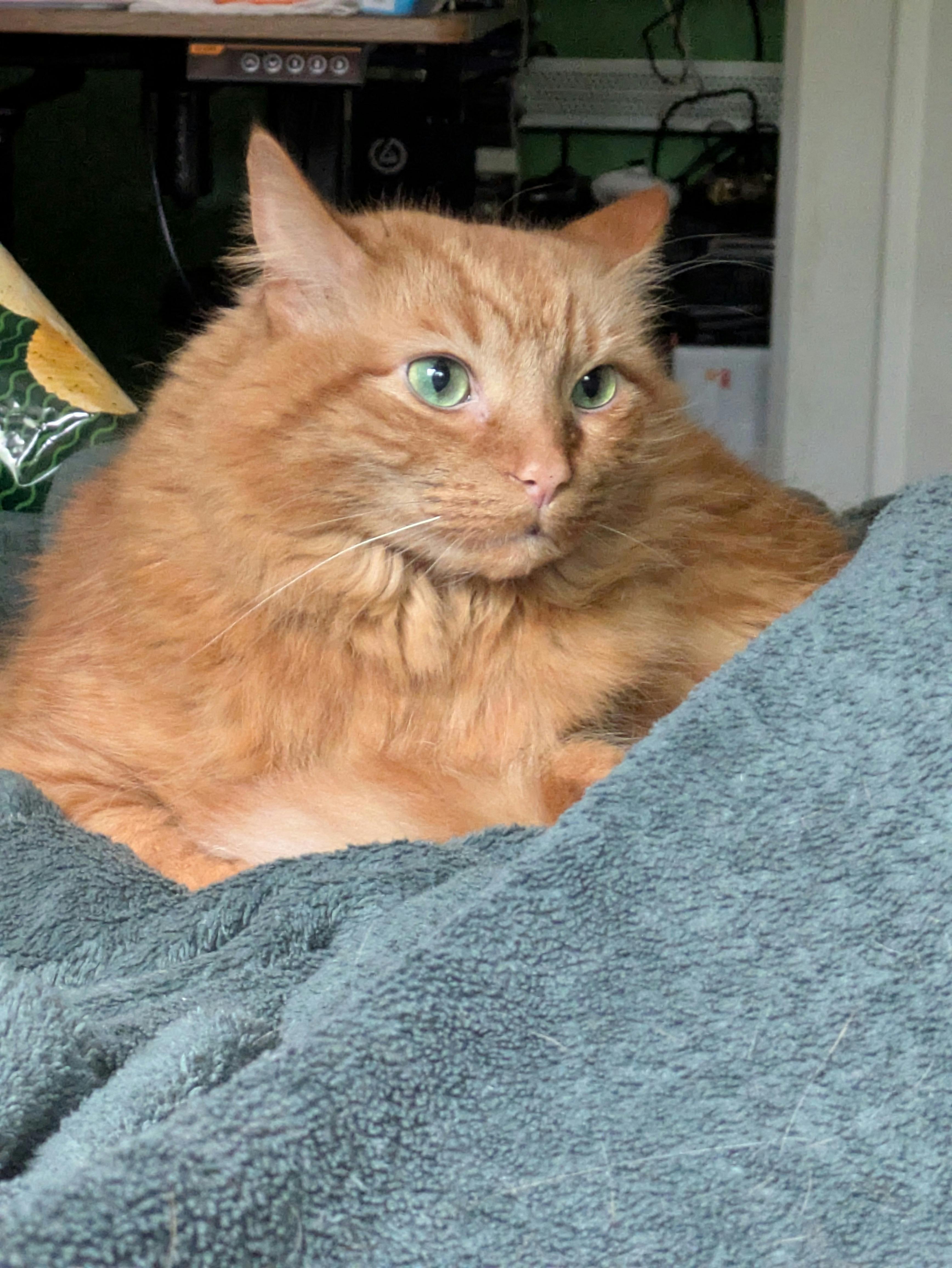 user avatar image for Darkone1253