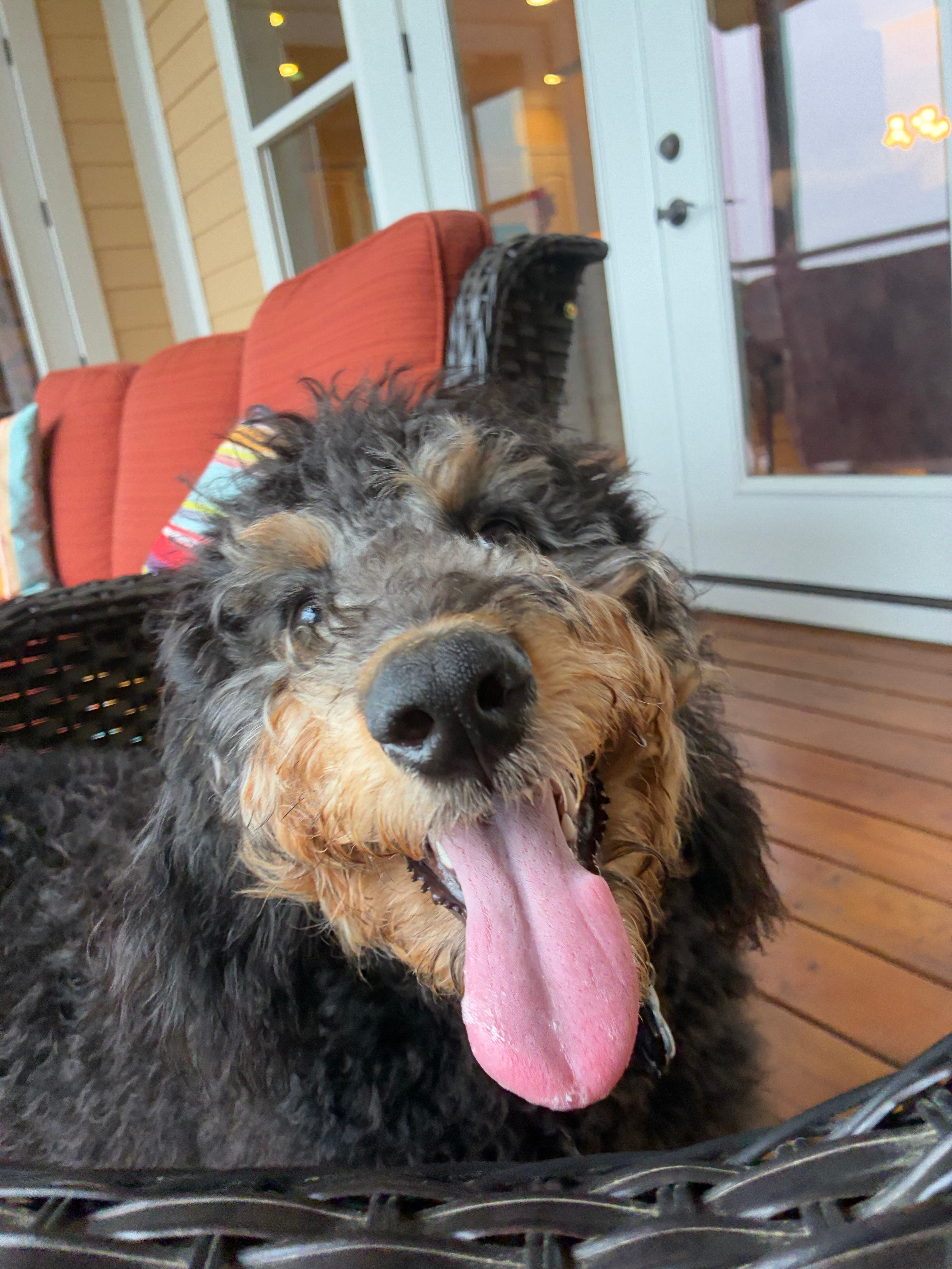 user avatar image for Ria