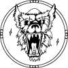 user avatar image for Mark Nolan