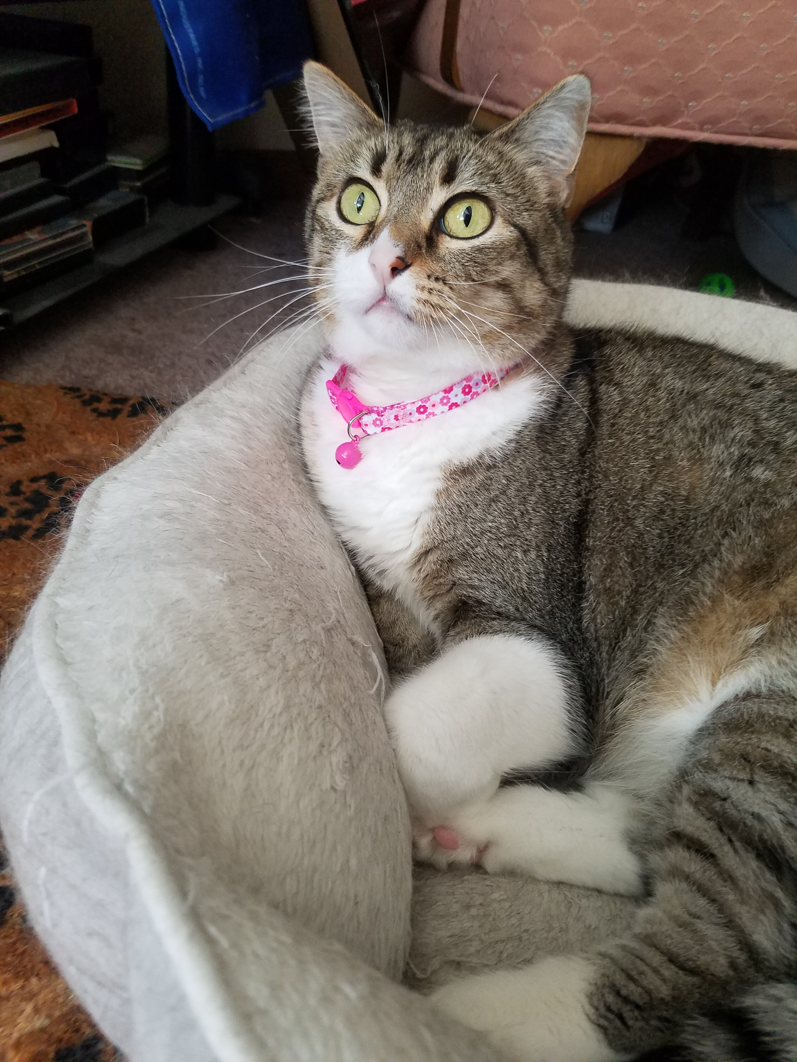 user avatar image for Jsauther