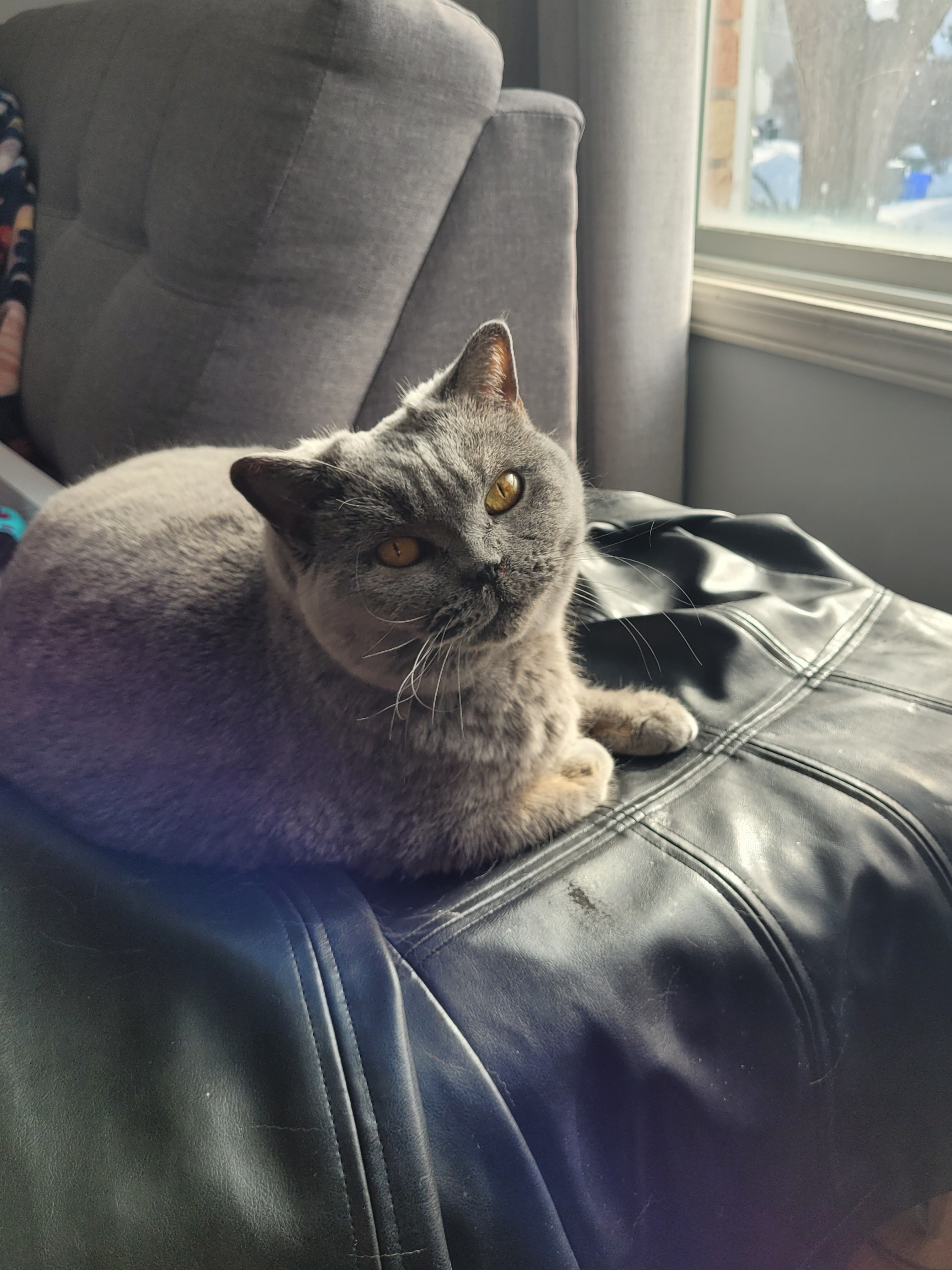 user avatar image for Clyde