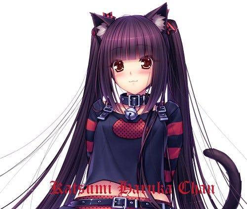 user avatar image for Kat