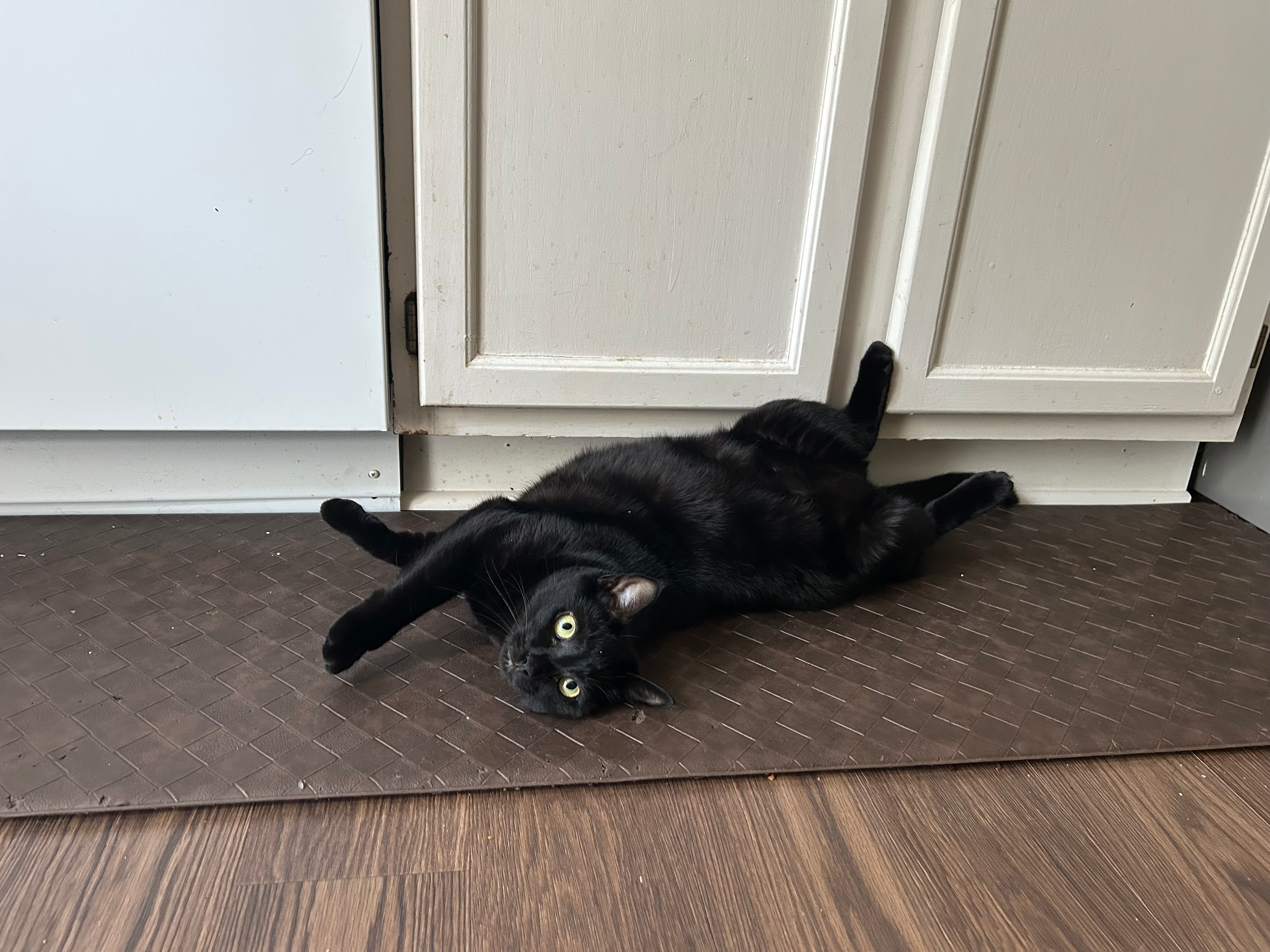 user avatar image for Christina D