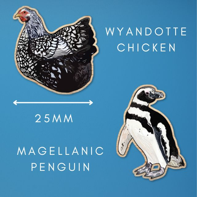 25mm mini wooden pin mock ups made of illustrations of a wyandotte chicken and a magellanic penguin