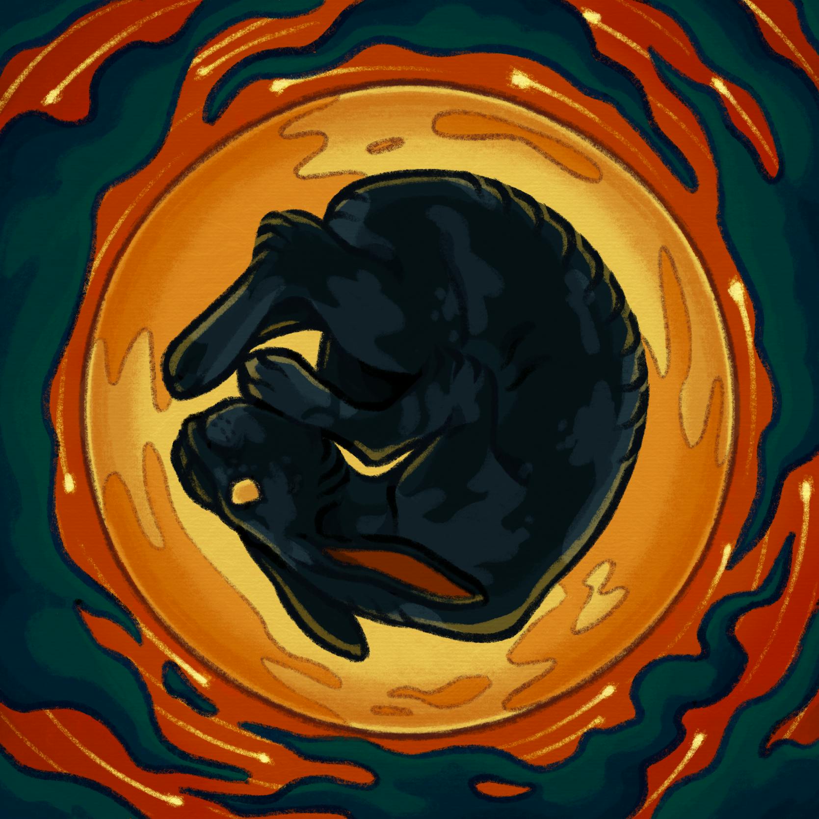 user avatar image for E. Simone P.