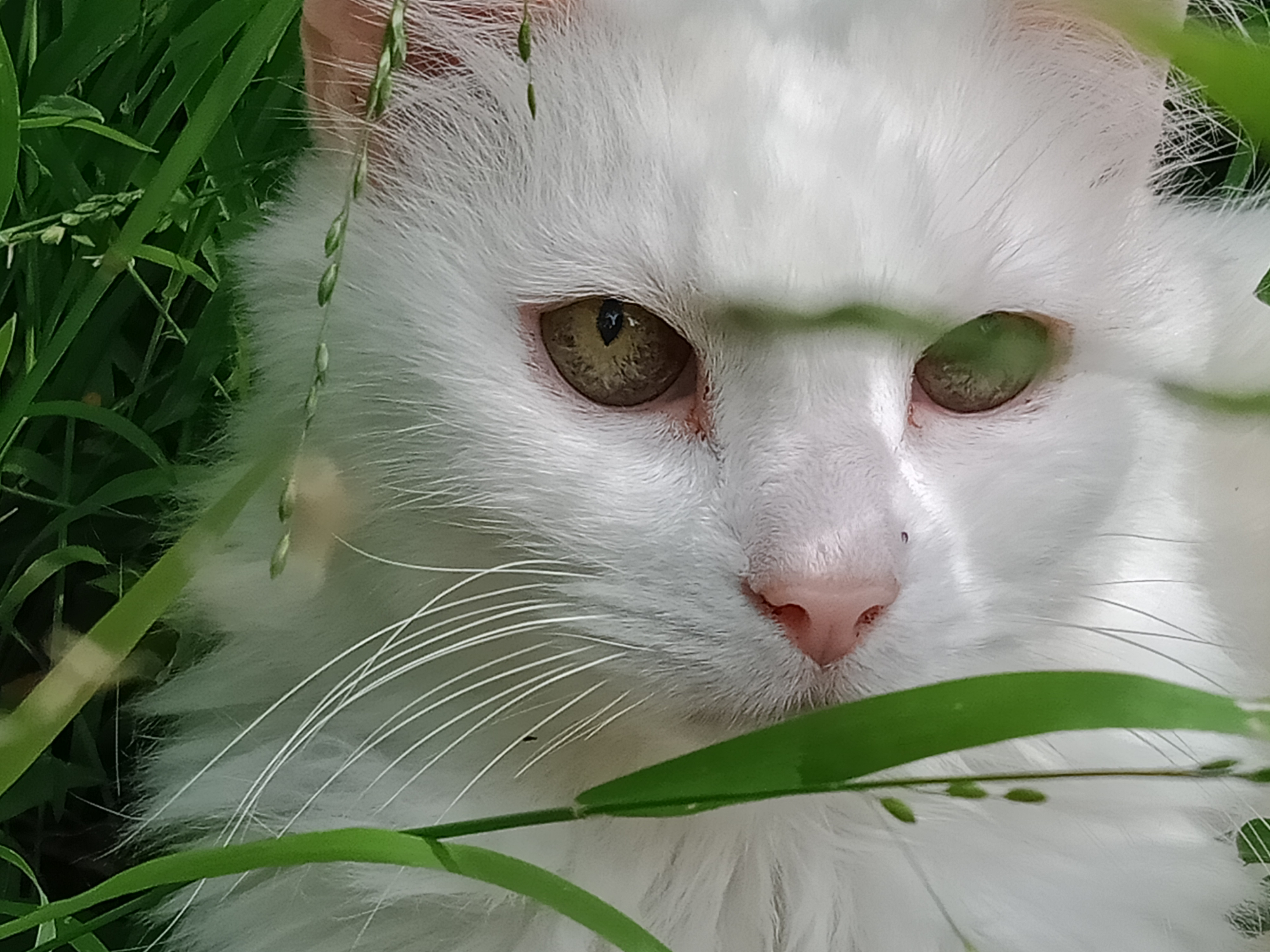 user avatar image for Quantum Handsome