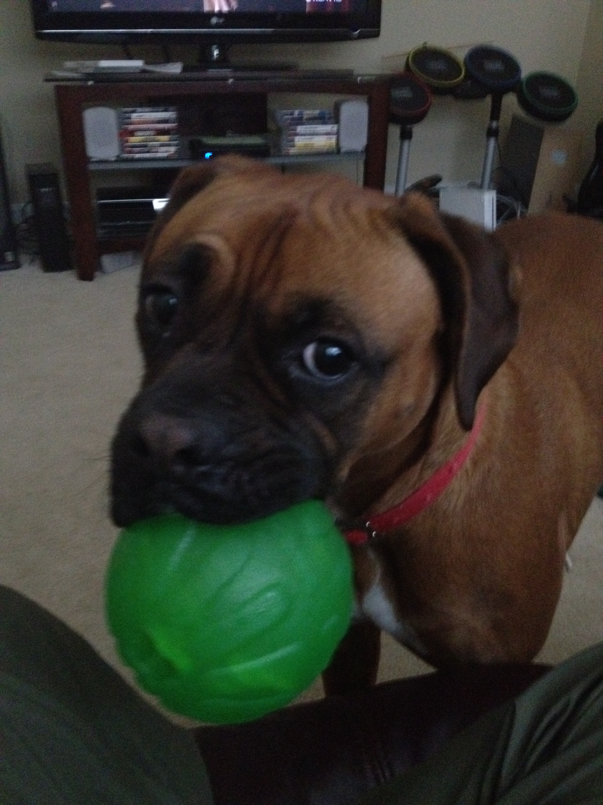 user avatar image for Joe Williams