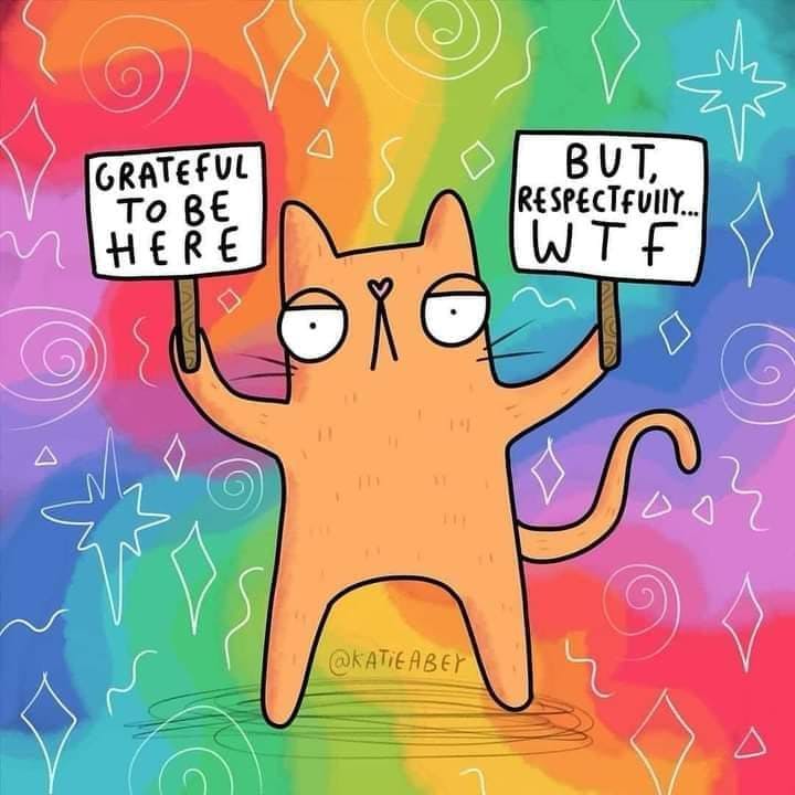 user avatar image for Alison