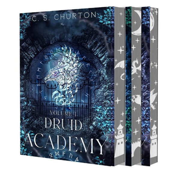 Druid Academy Paperbacks