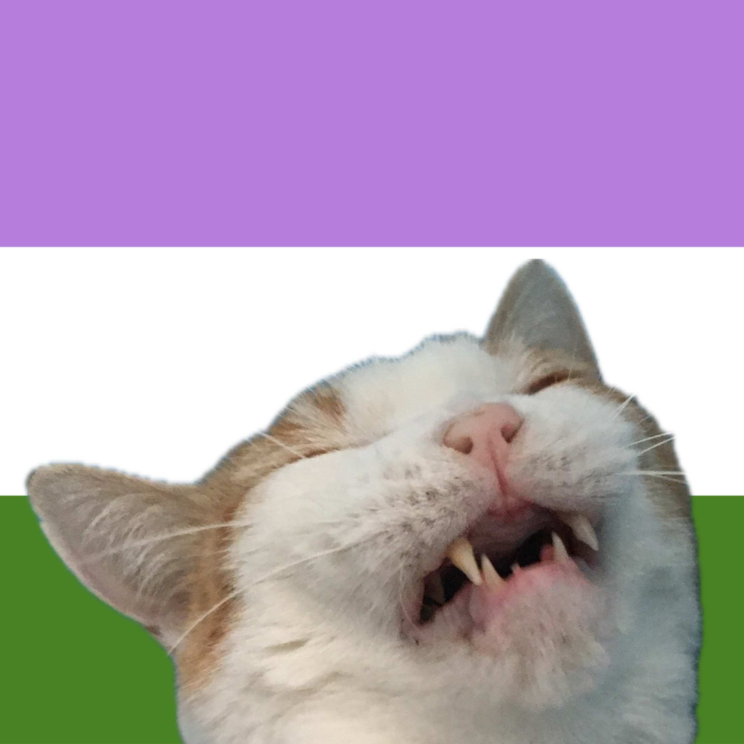 user avatar image for Gill