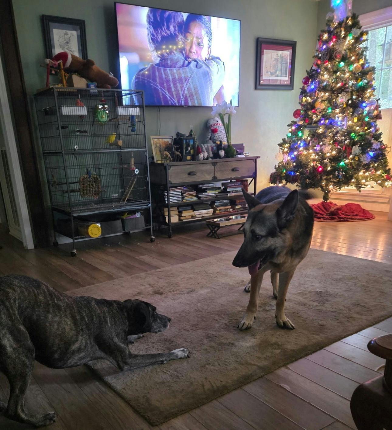 user avatar image for Cliff Raeder