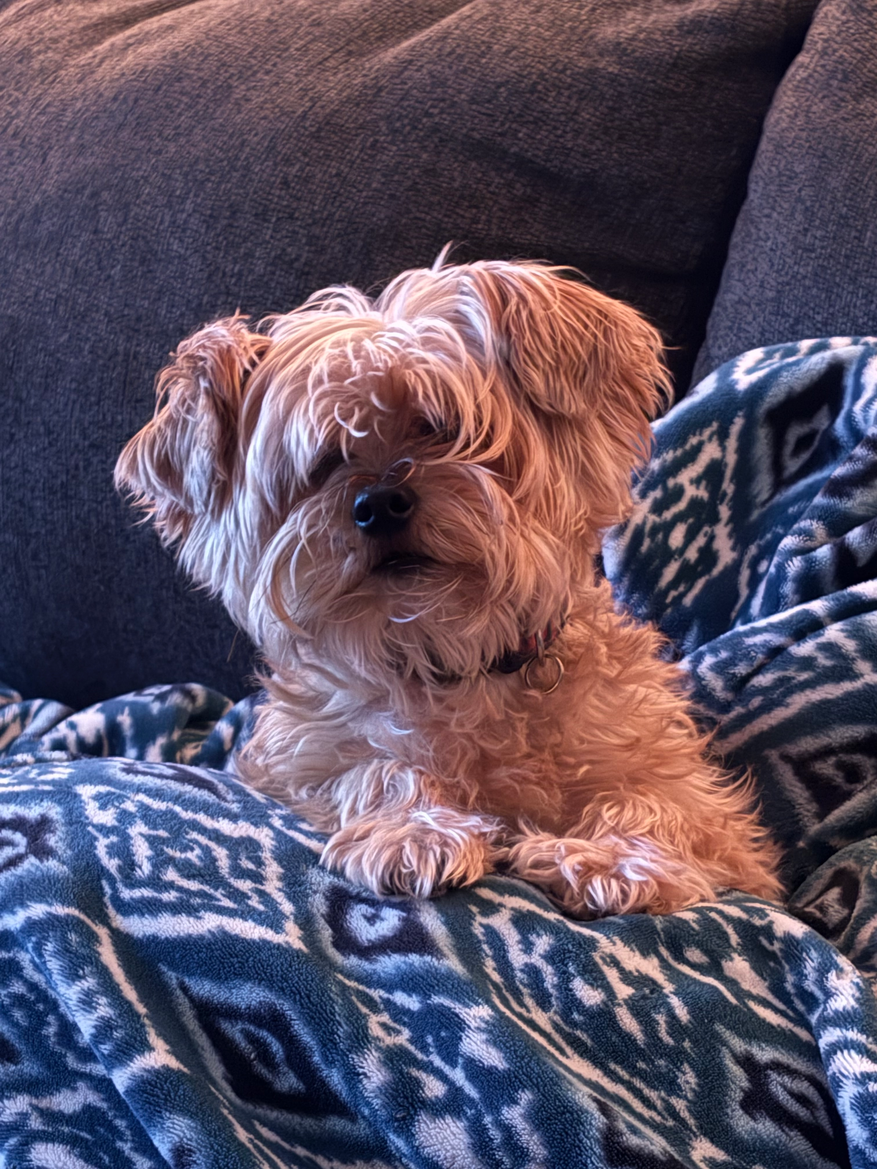 user avatar image for Tayl