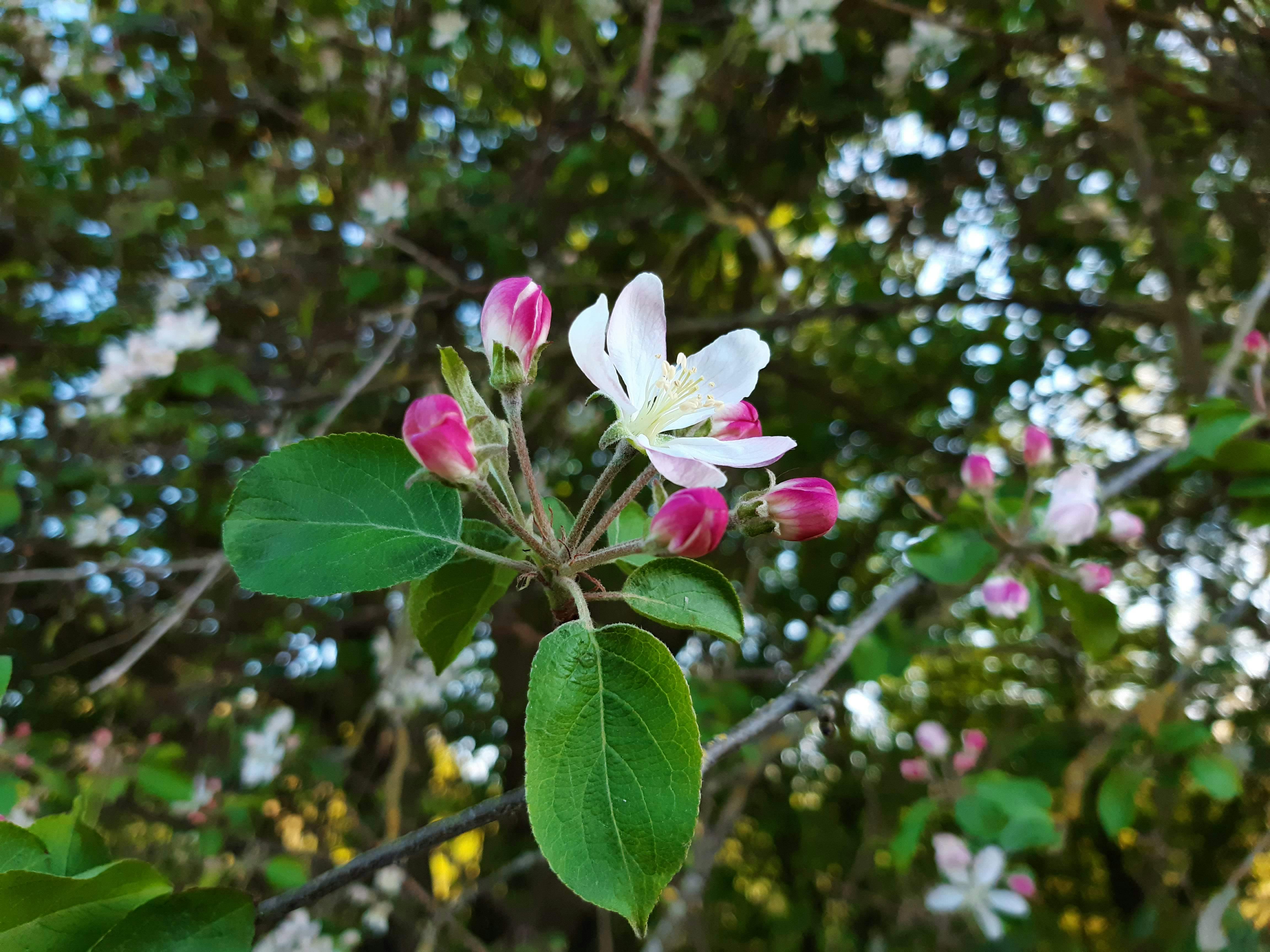 user avatar image for Freya