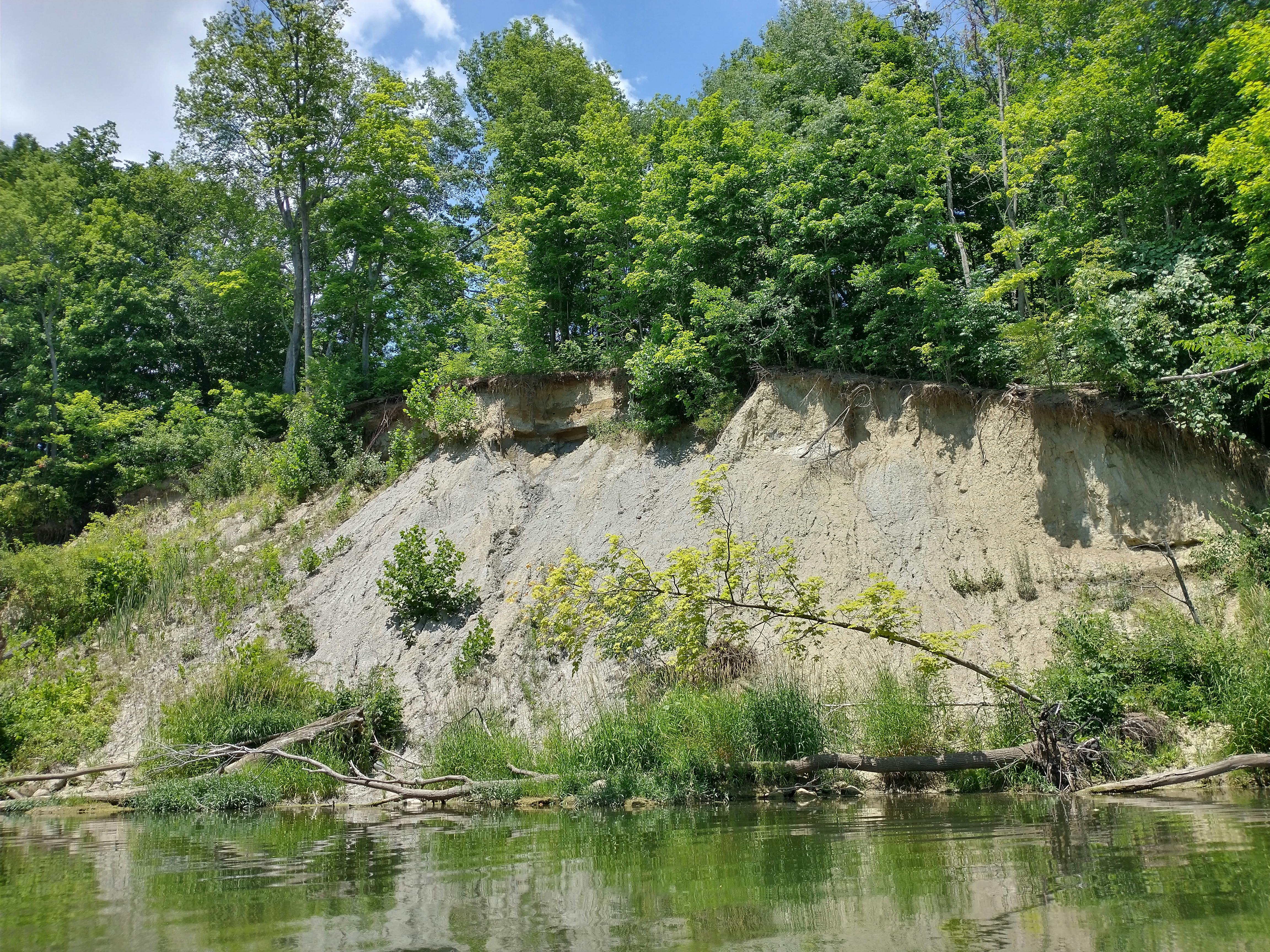 user avatar image for SigelSilvanus