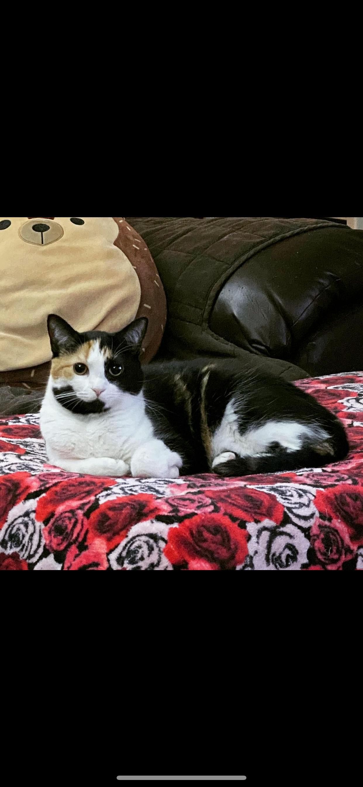 user avatar image for Meghan