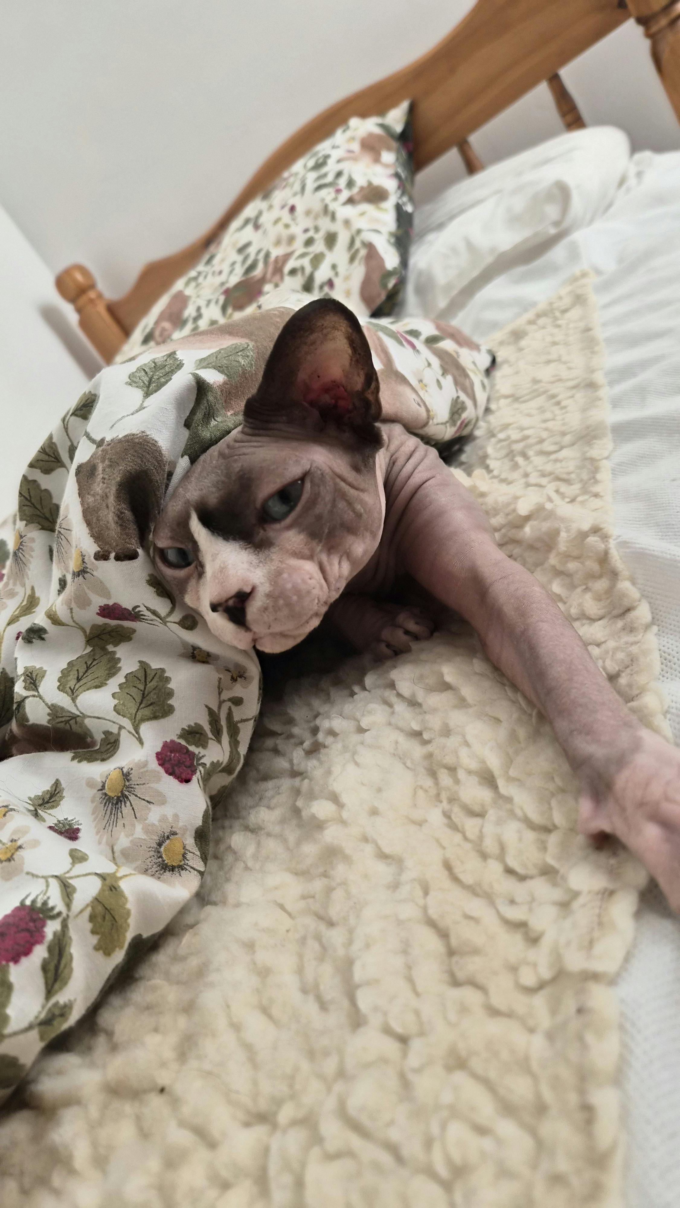 user avatar image for Emma