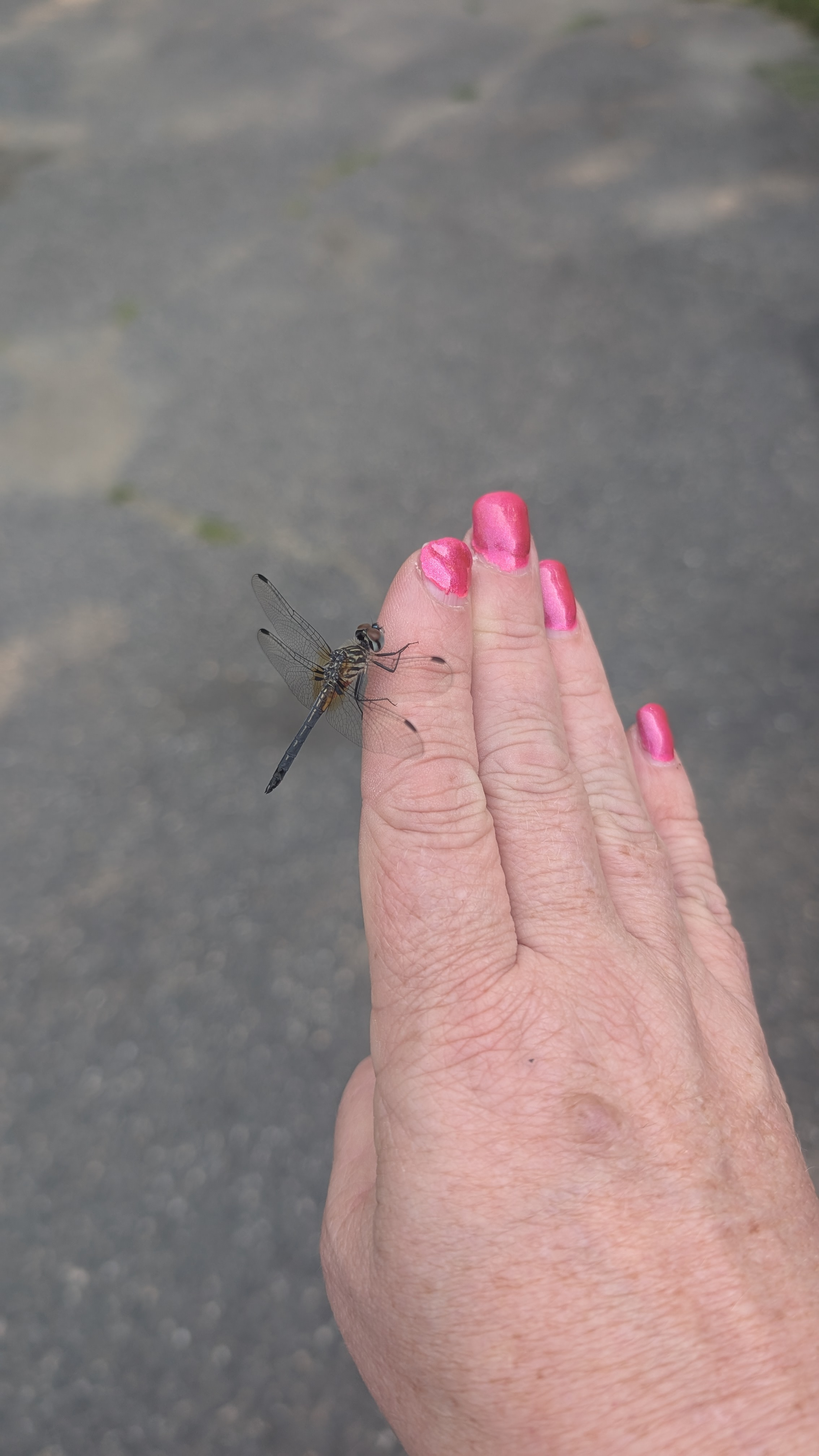 user avatar image for Kristie Aker 