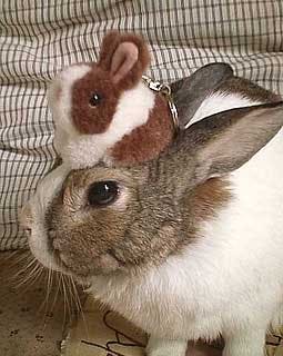 user avatar image for Benjamin Taylor