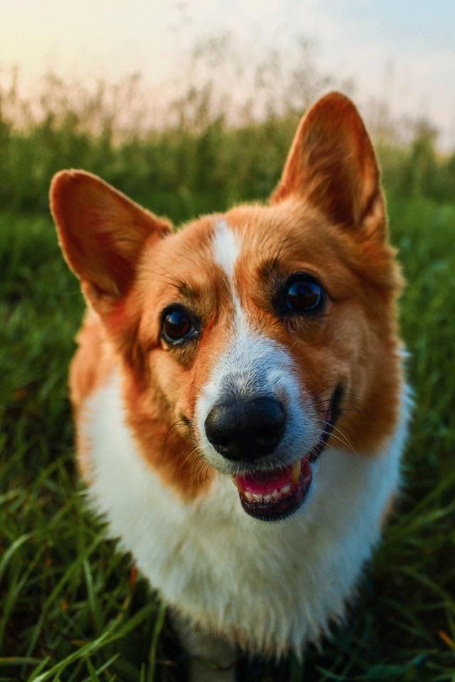 user avatar image for cmartdvm