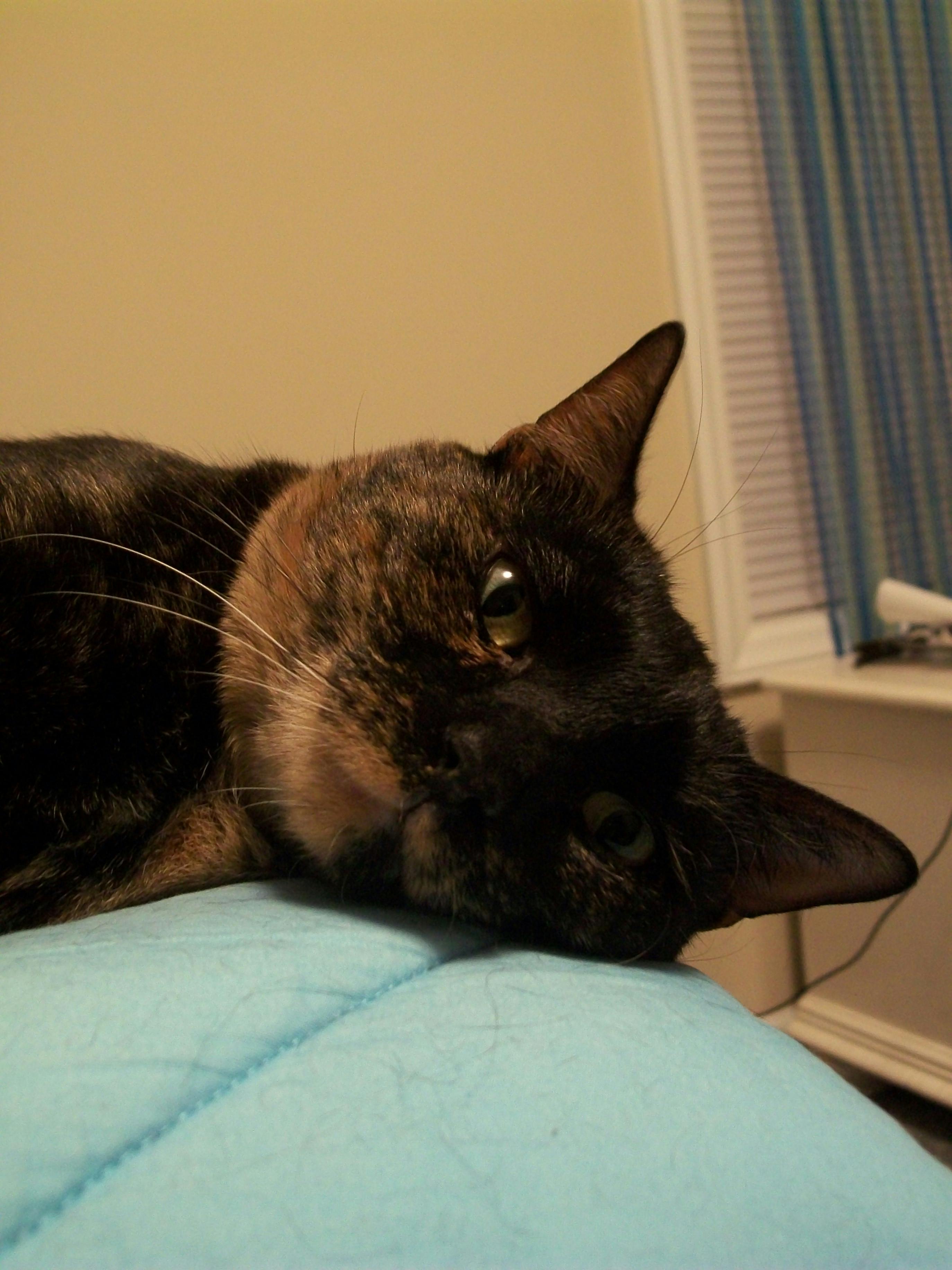 user avatar image for Chartreuse