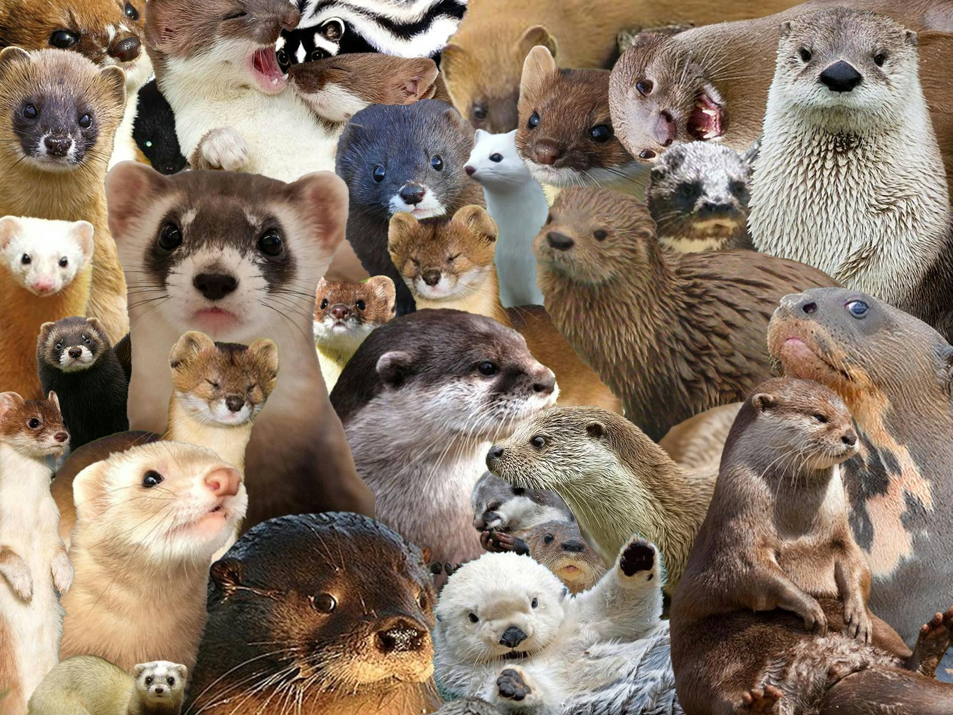 user avatar image for Madame