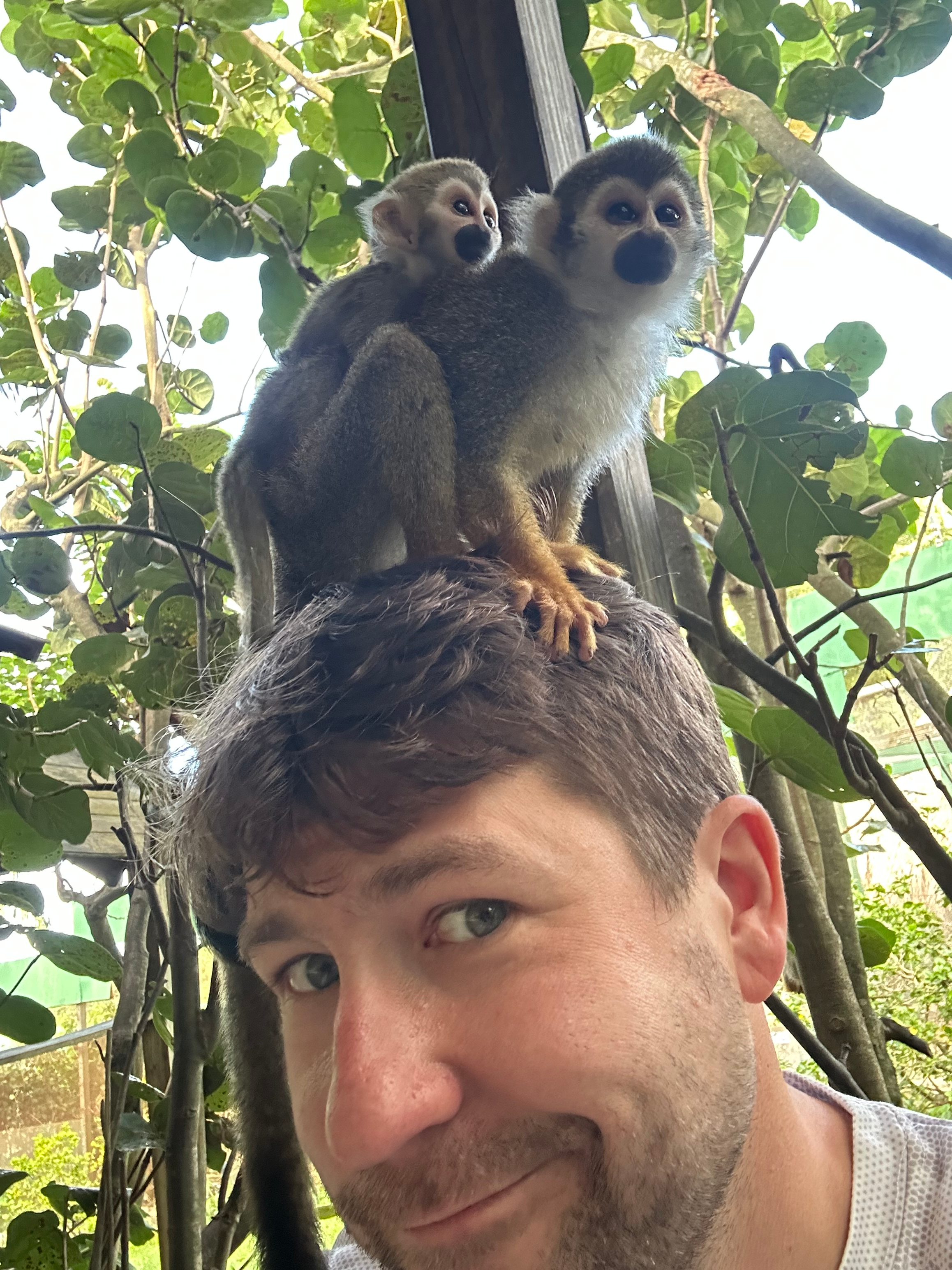 user avatar image for Robbie Mauney