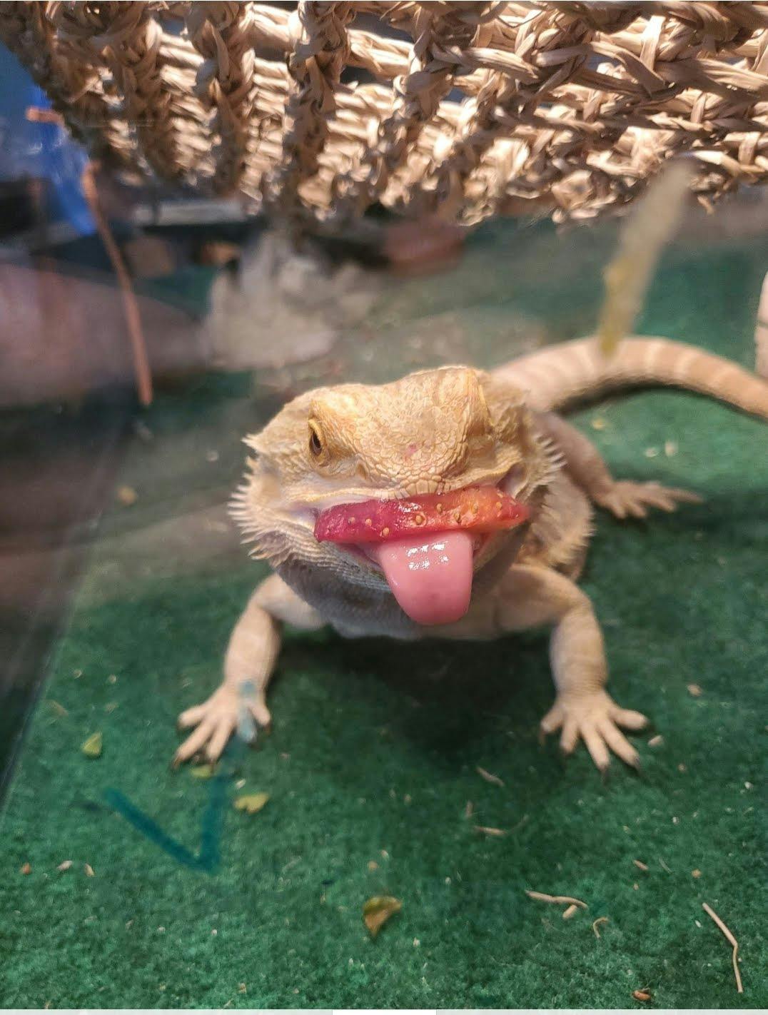 user avatar image for kyrie