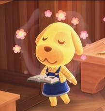 user avatar image for Kitties Adham