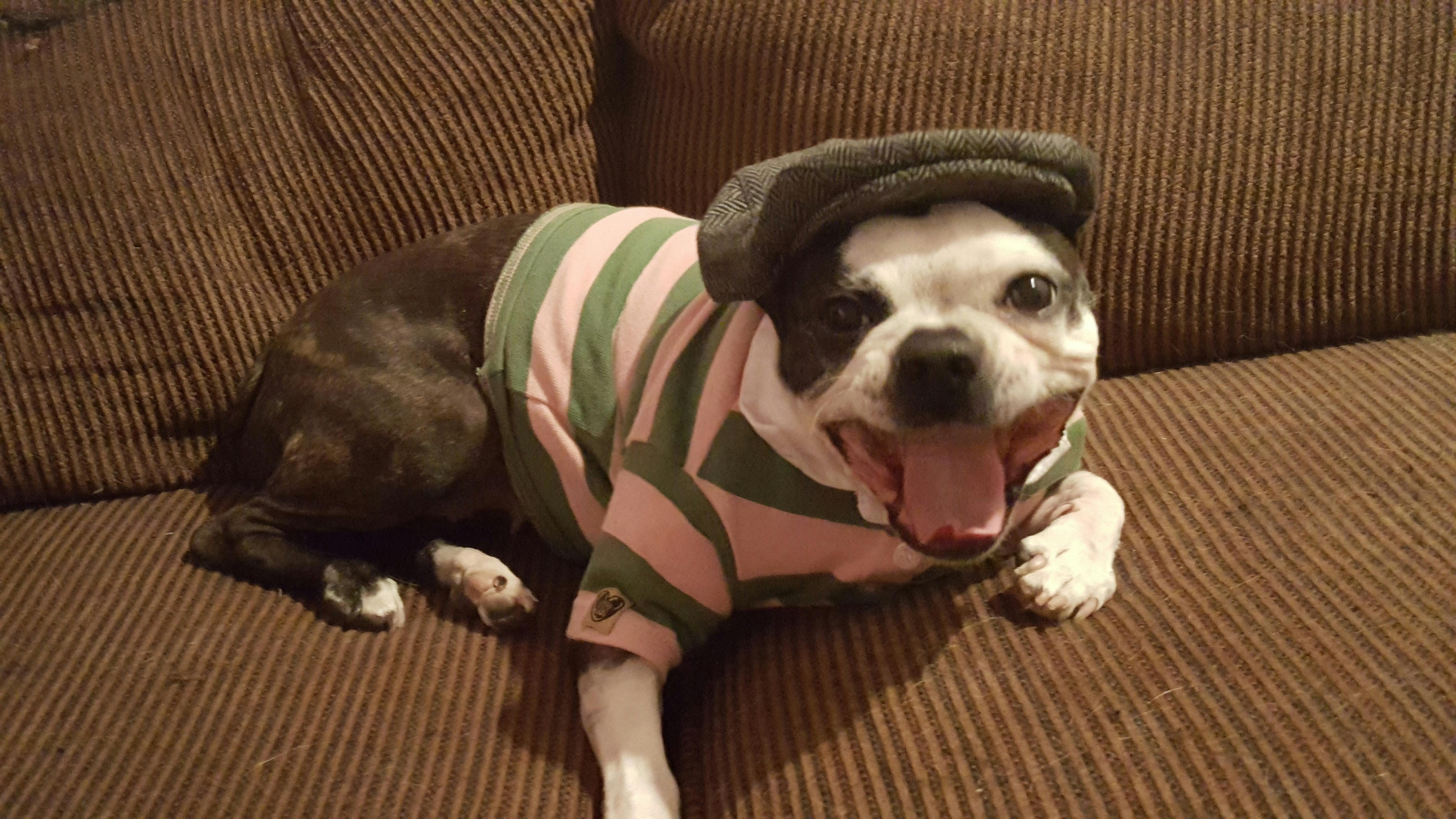 user avatar image for Only Humann