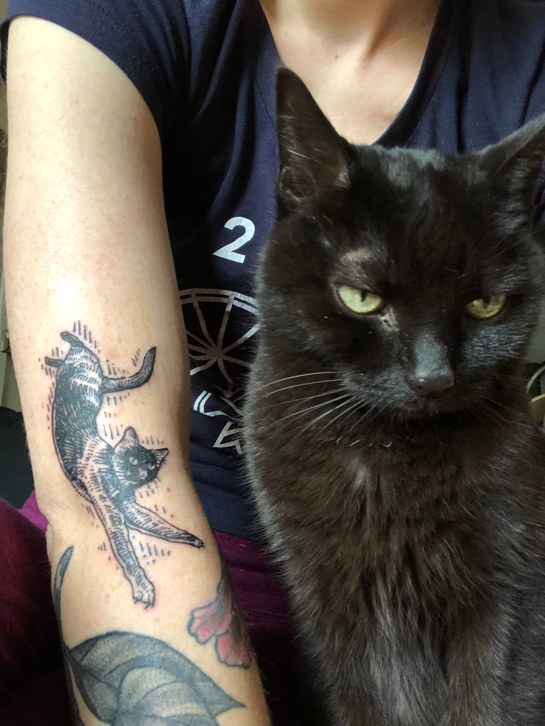 user avatar image for Lisa