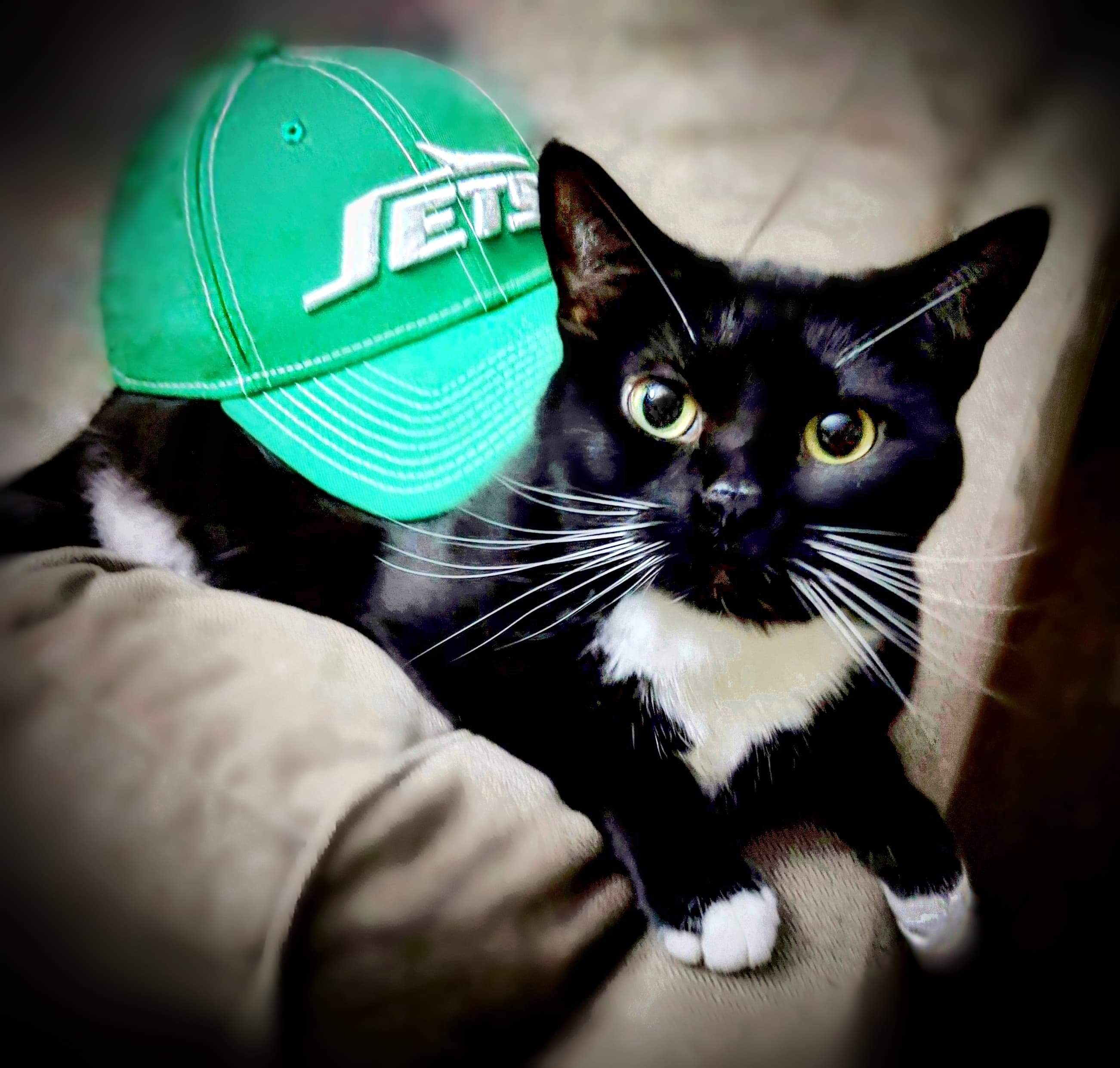 user avatar image for Brittany