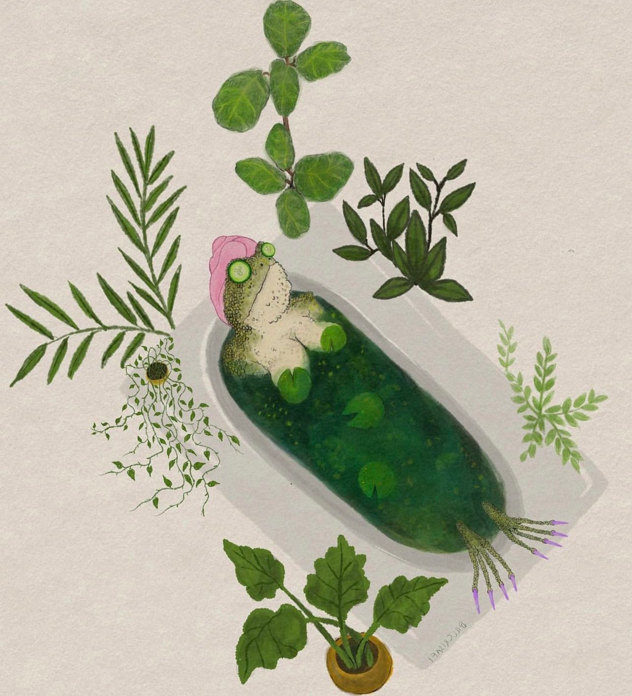 user avatar image for Sara Mosher