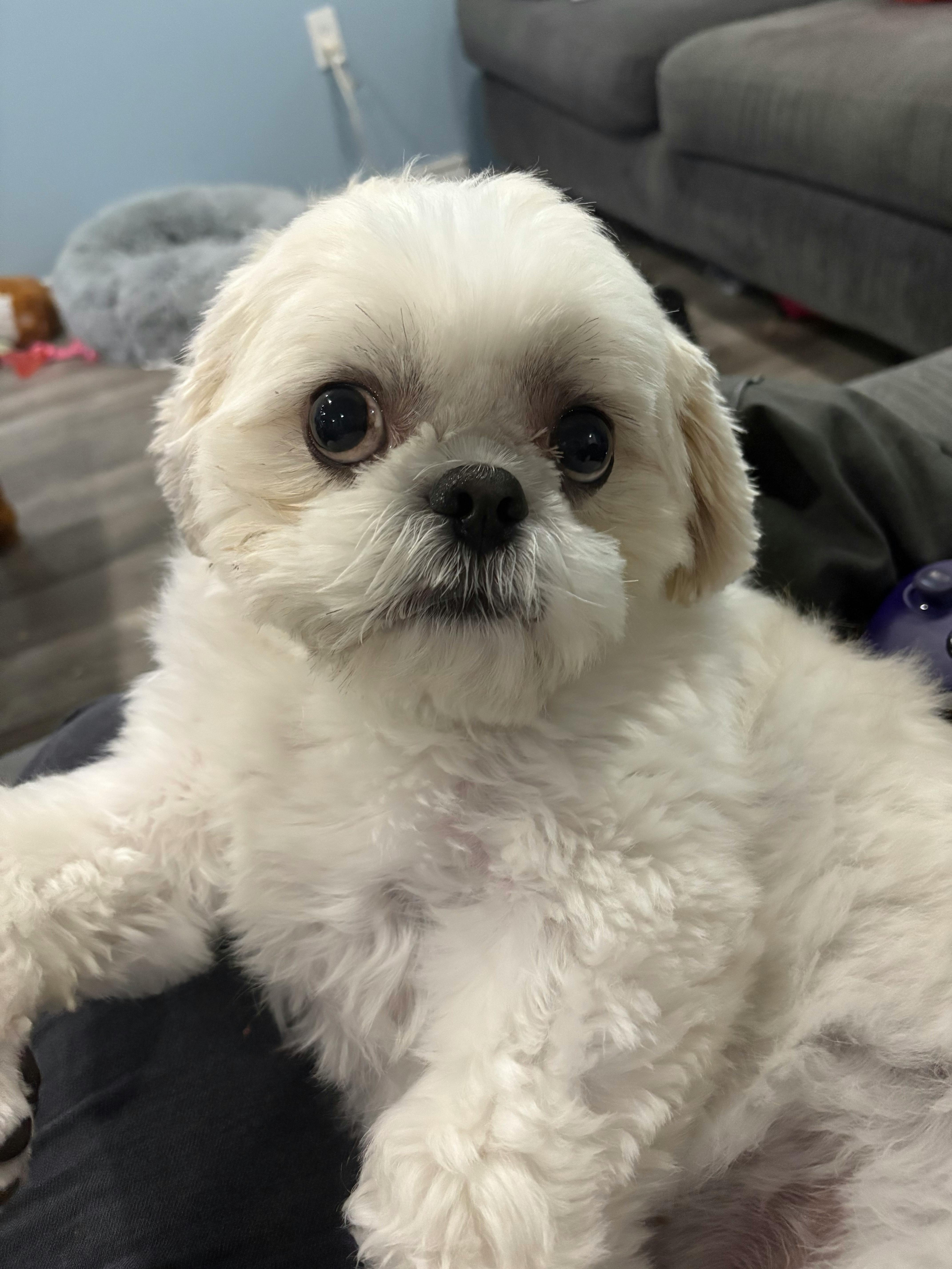 user avatar image for Nadine Mcdowall