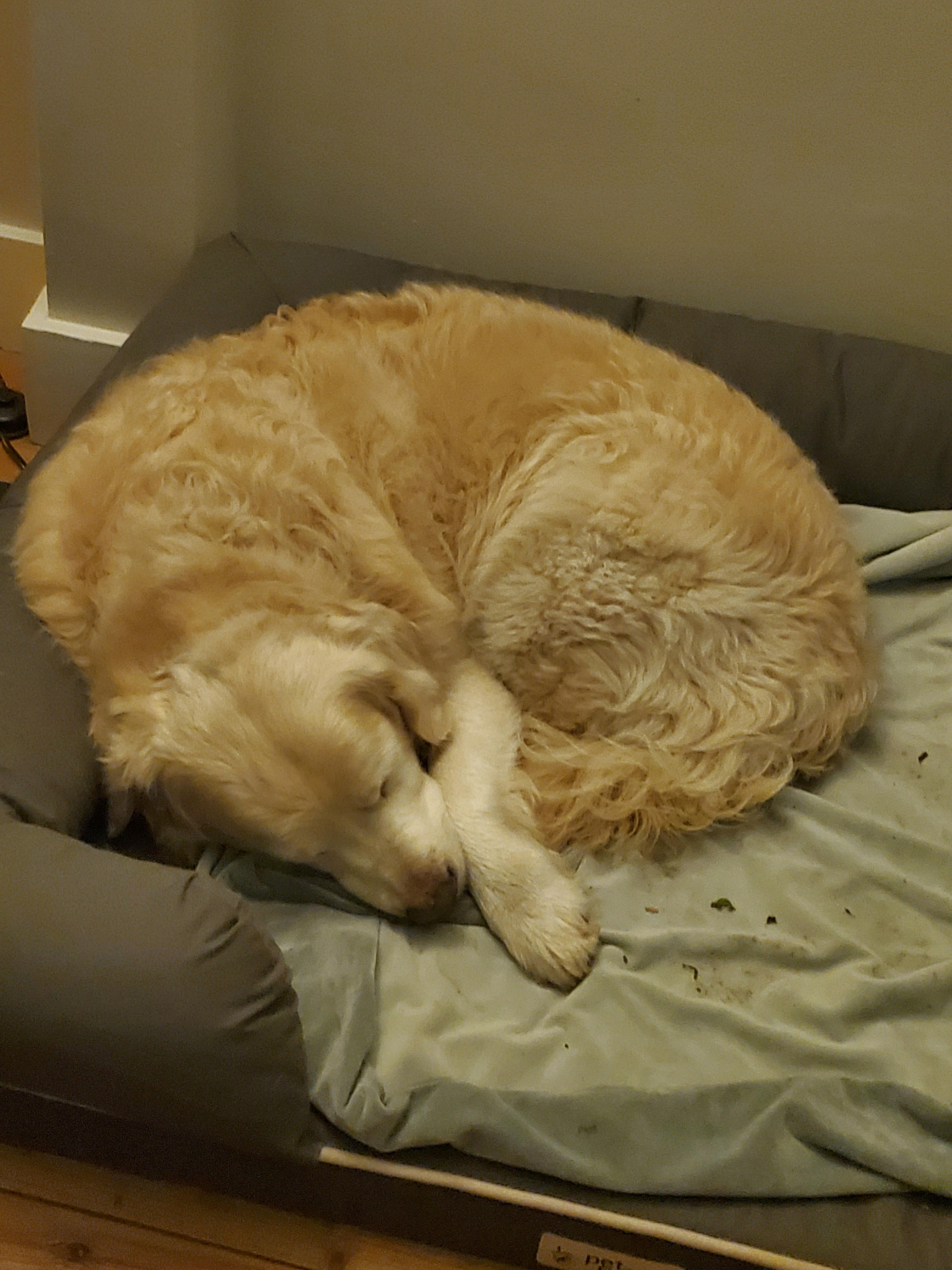 user avatar image for Baker Legate