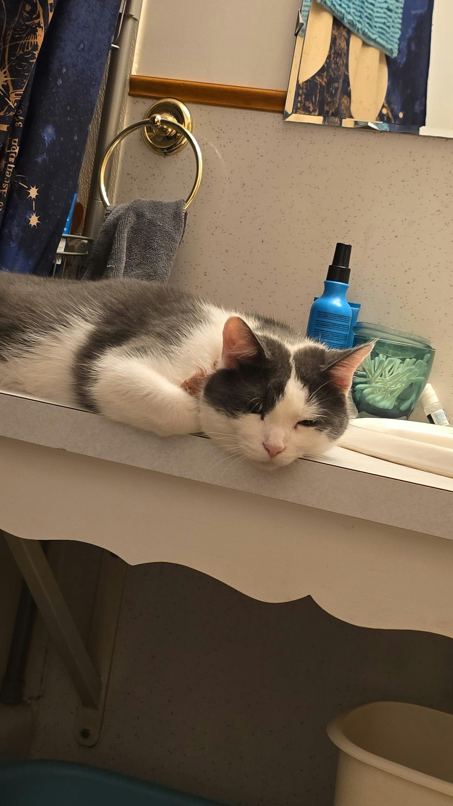 user avatar image for Lunaria