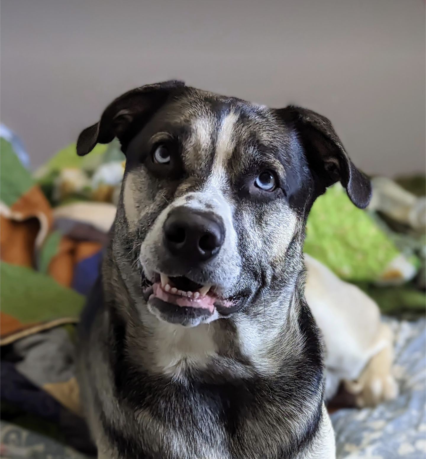 user avatar image for Chelsea Deuel 