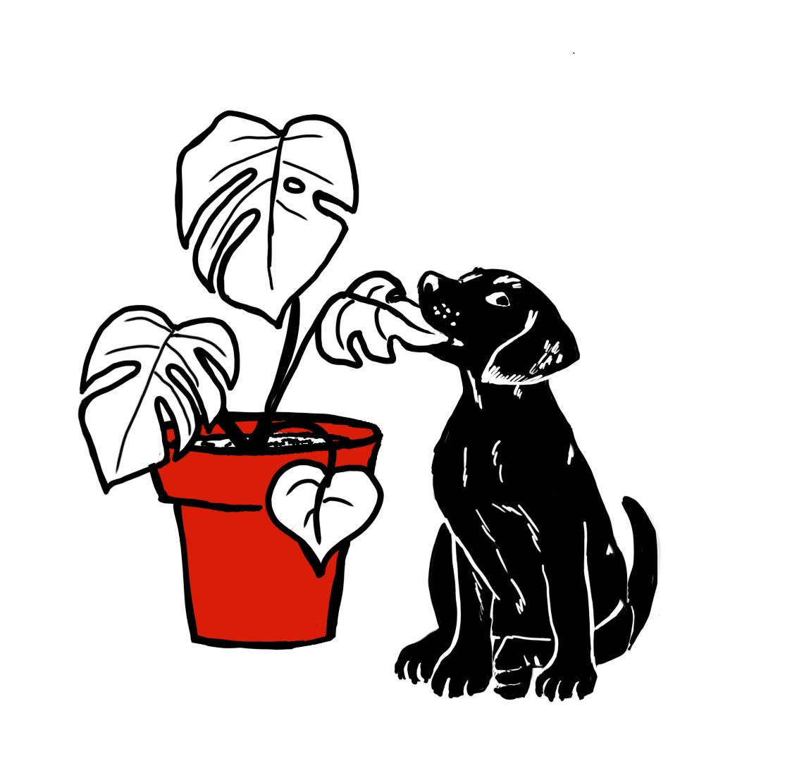 user avatar image for Stephanie Alscher