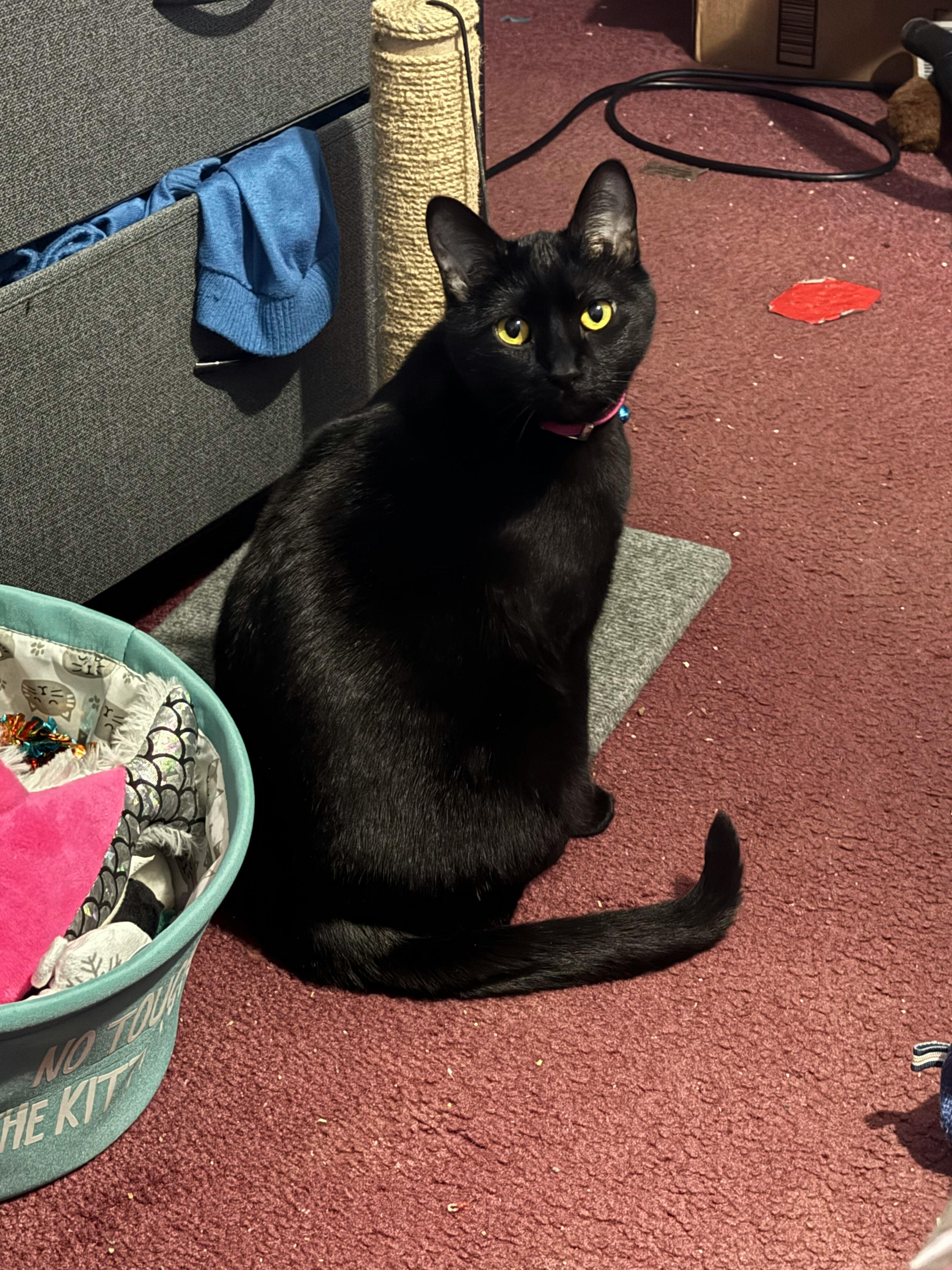 user avatar image for Samantha Ash