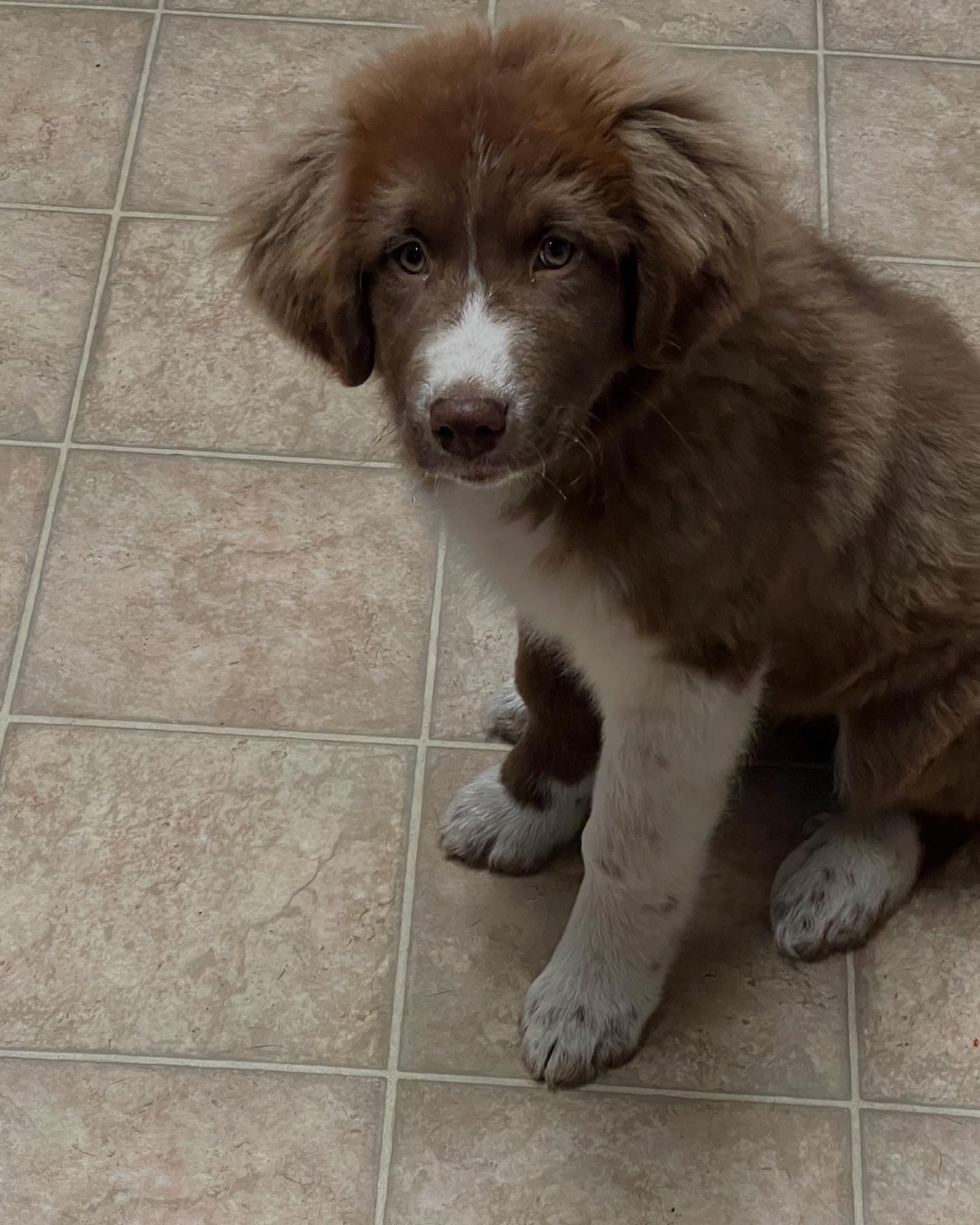 user avatar image for Autumne