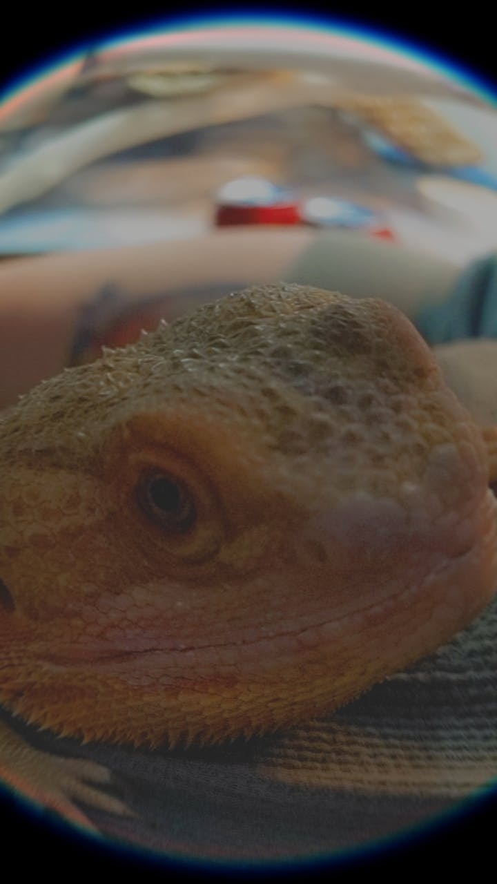 user avatar image for Tobus