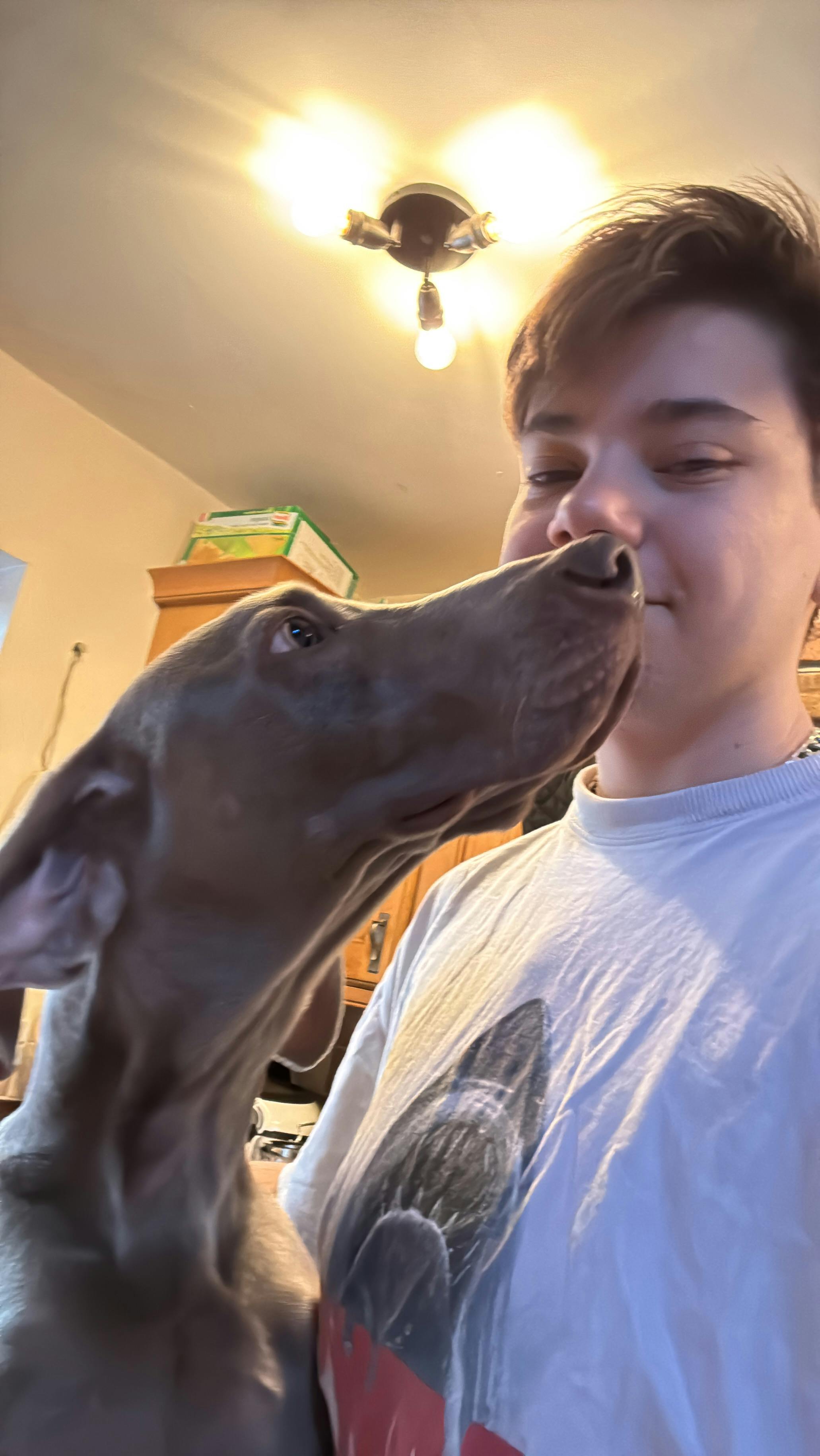 user avatar image for Ryan Bacon