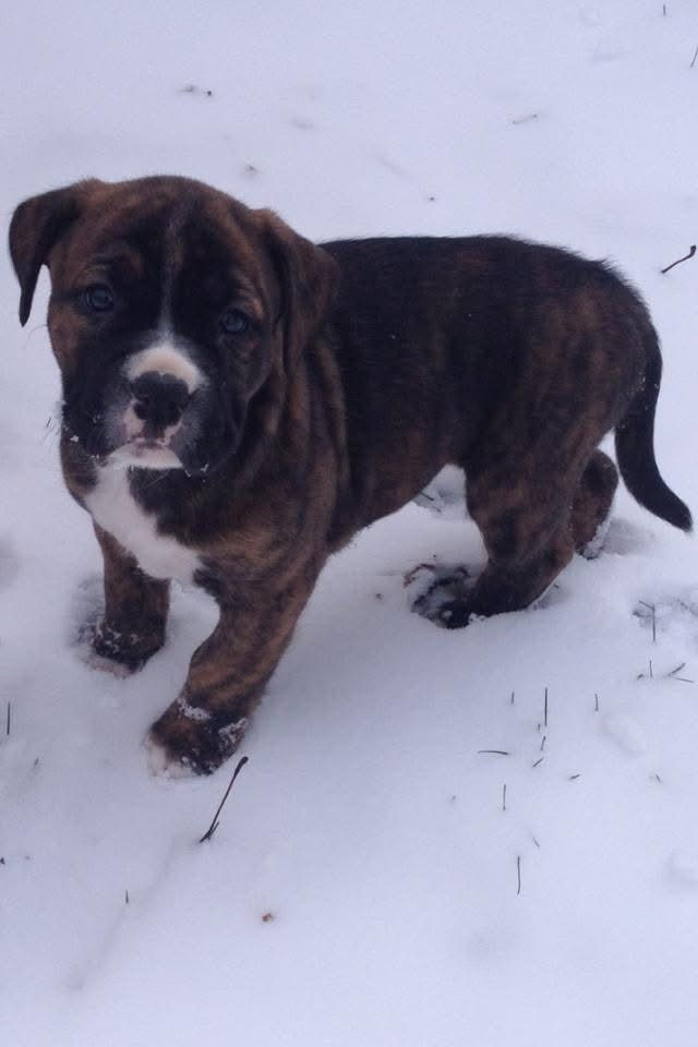 user avatar image for Chris Severin