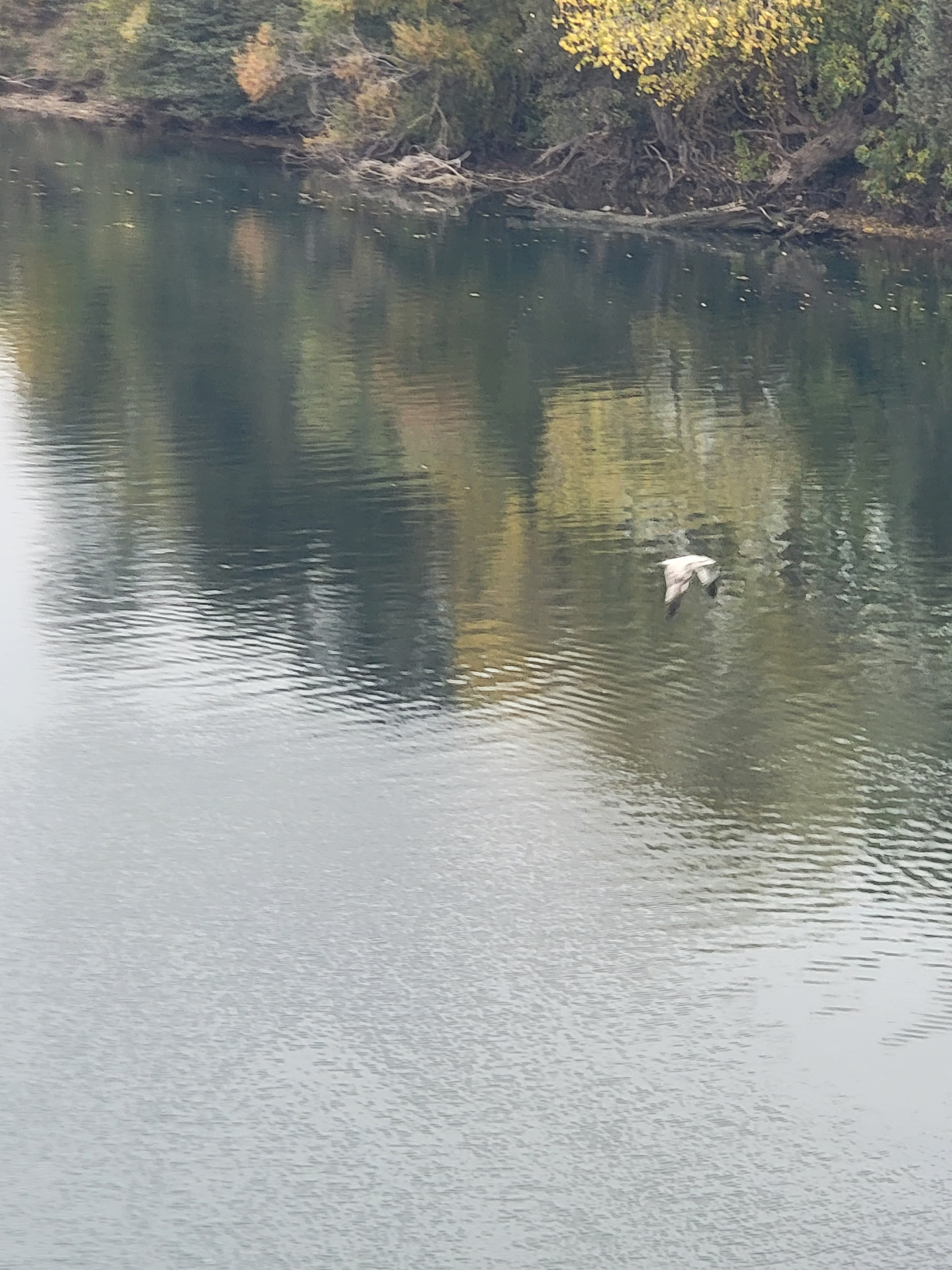 user avatar image for Justice