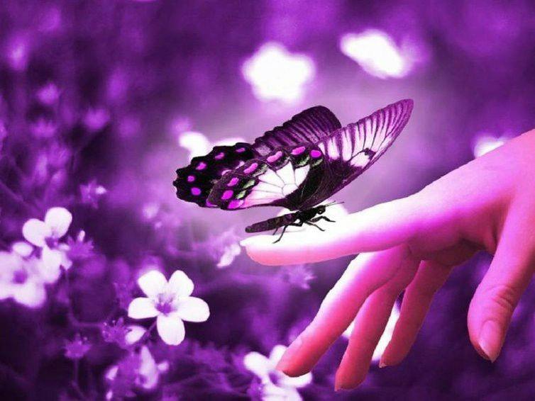 user avatar image for Violet