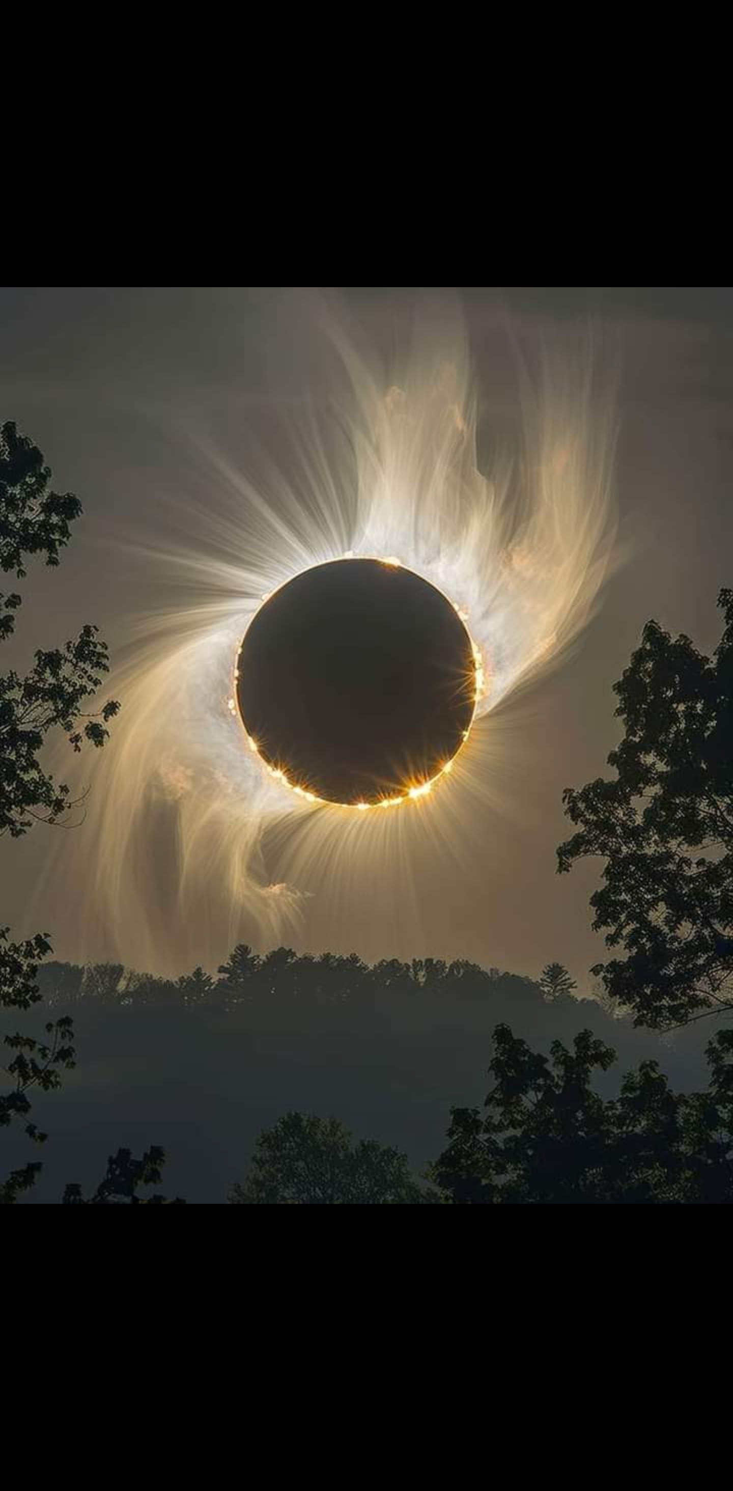 user avatar image for Josh Placid